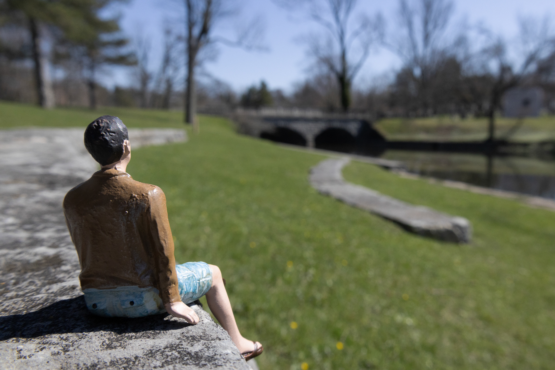 The Scajaquada Crossing