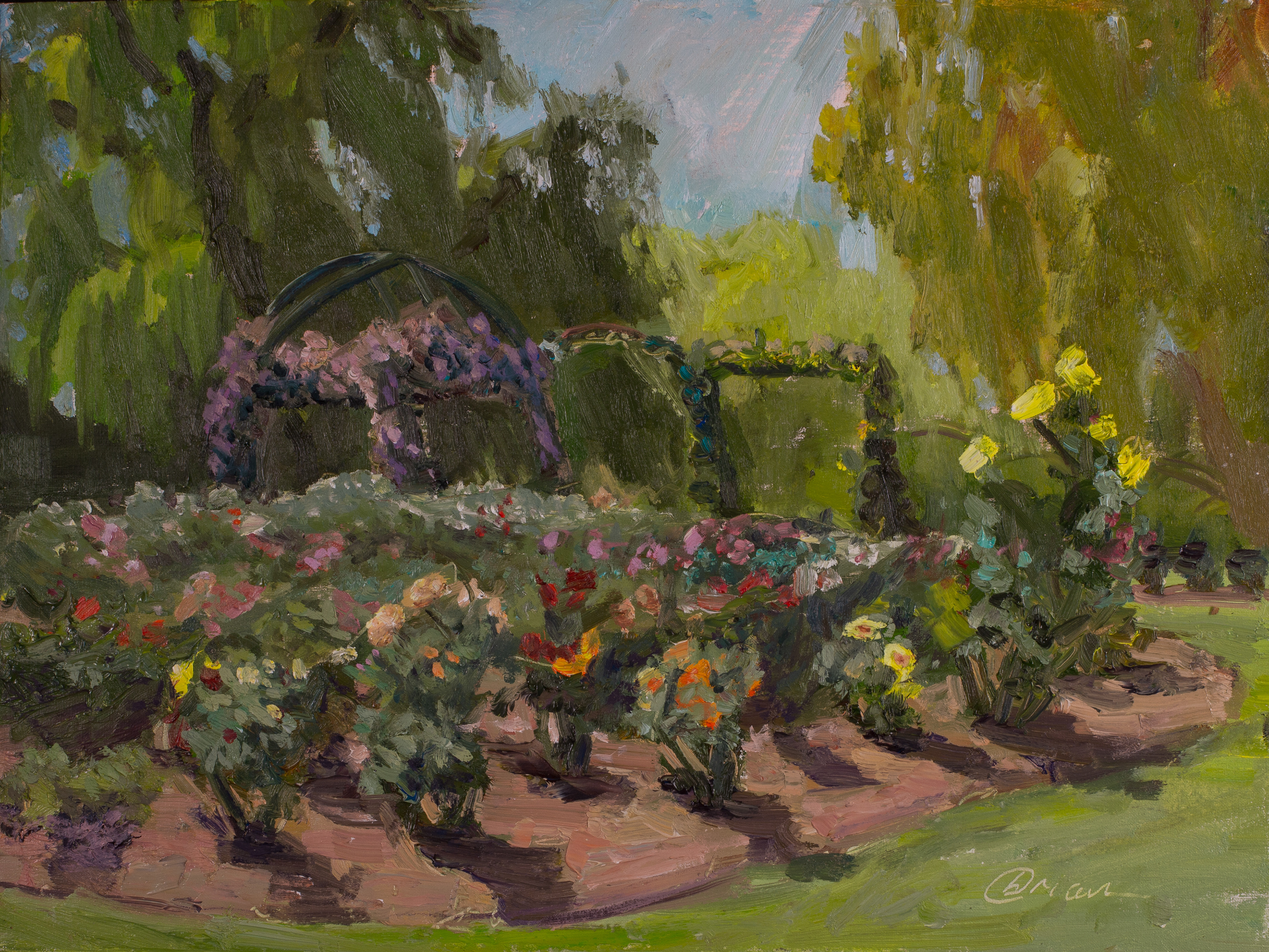 first of the roses 12 x 16