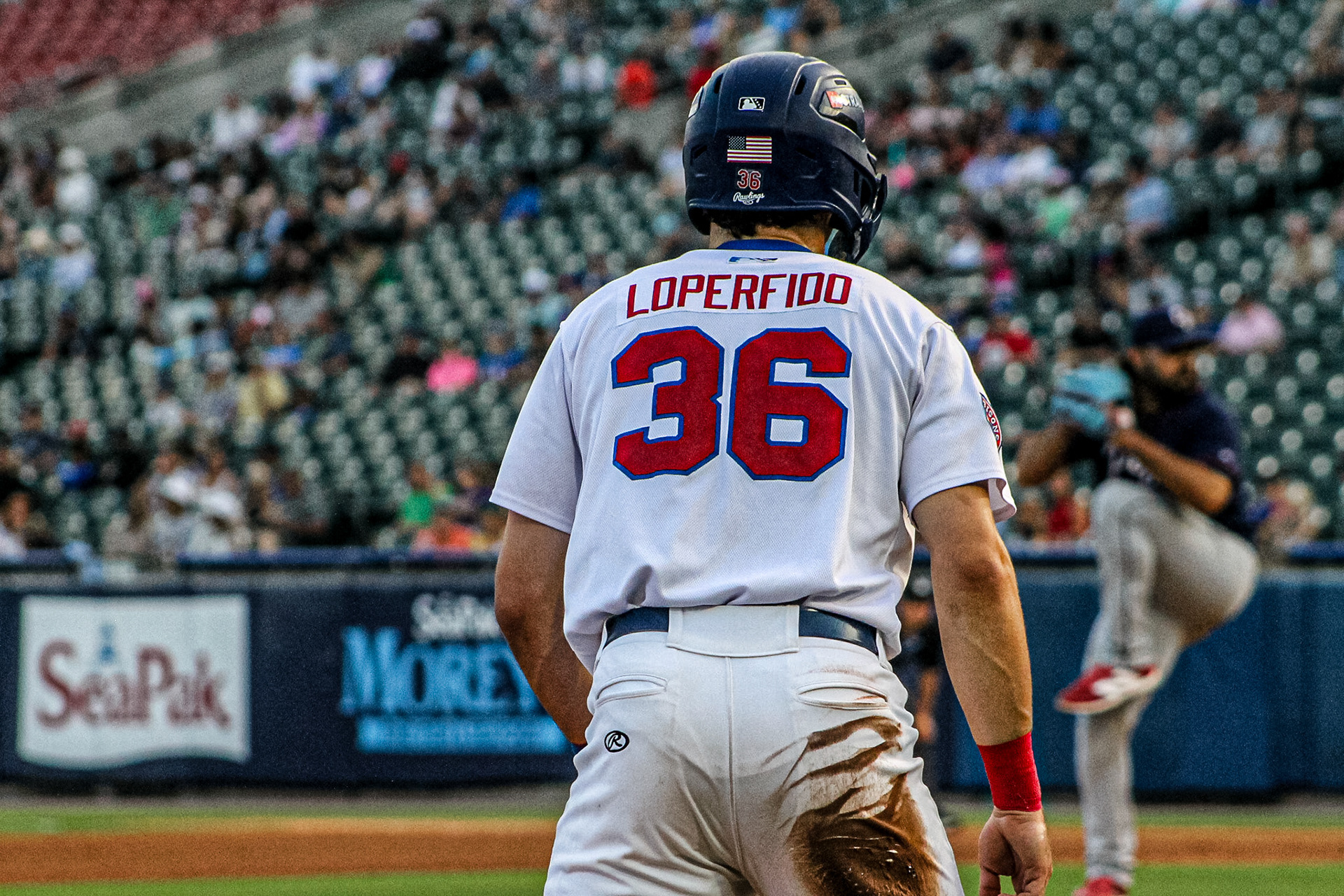 Joey Loperfido, Toronto Blue Jays