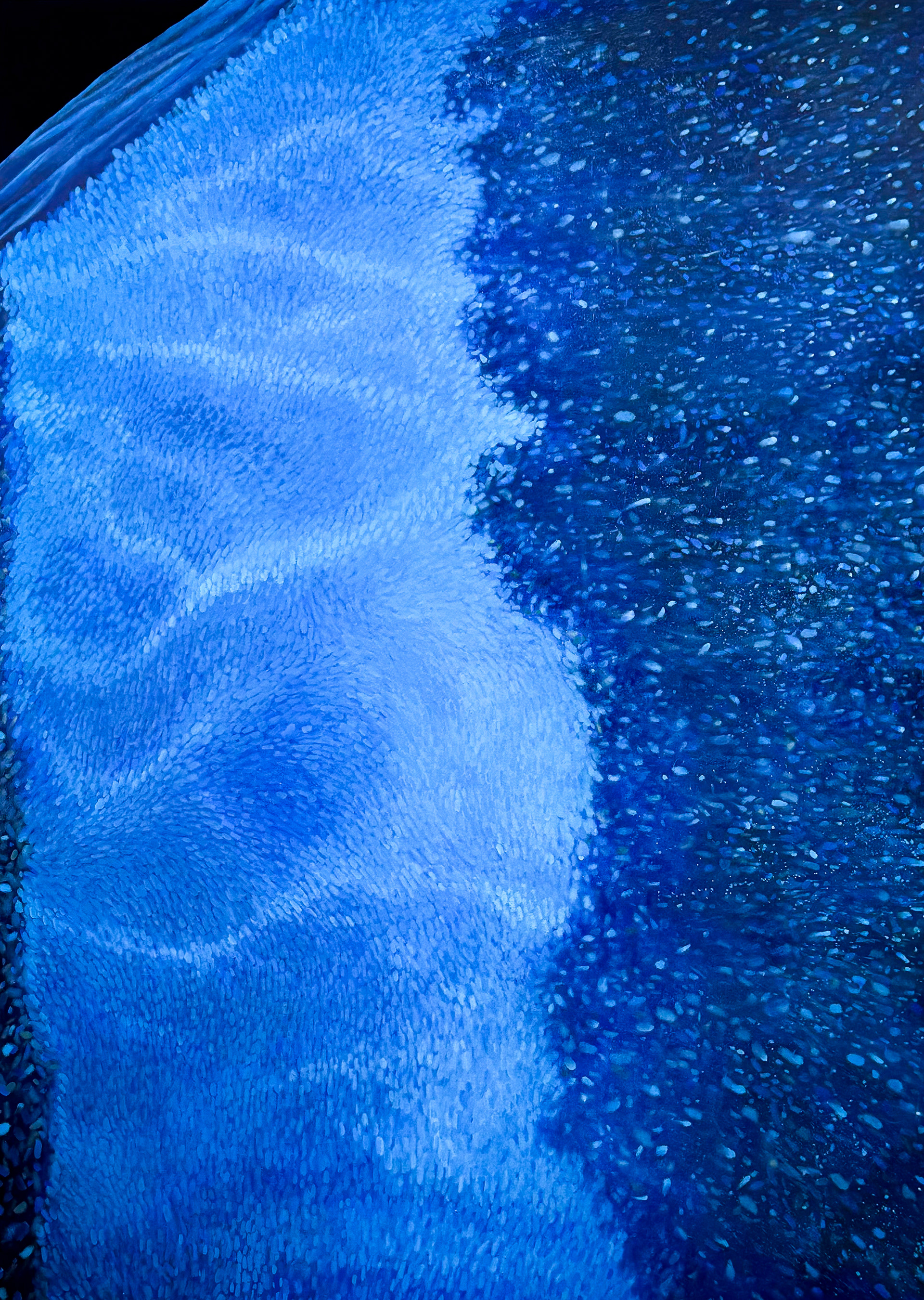 Ma 26-Ⅱ-25 Oil and water-based pigment on linen 178 × 127 cm (70 × 50 in.), 2025.