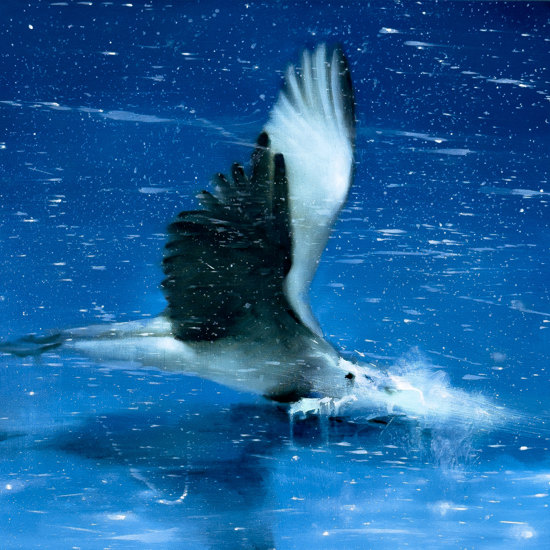 Headlessbird No.4 Oil on linen, 50 × 50 cm (19.7 × 19.7 in.), 2025