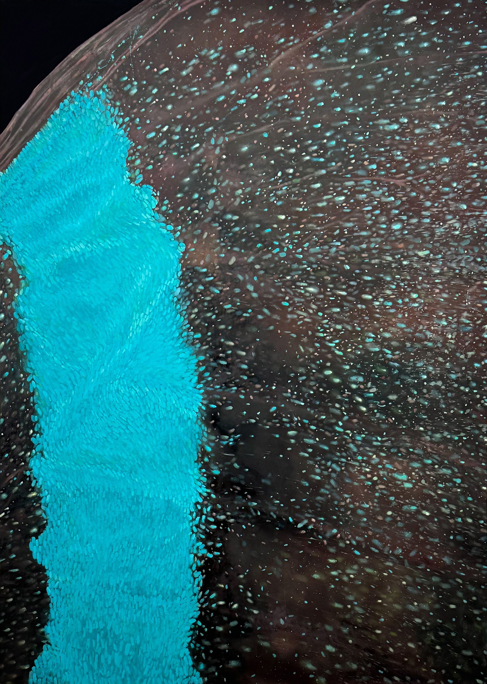 Ma 04-I-25 Oil and water-based pigment on linen 178 × 127 cm (70 × 50 in.), 2025.