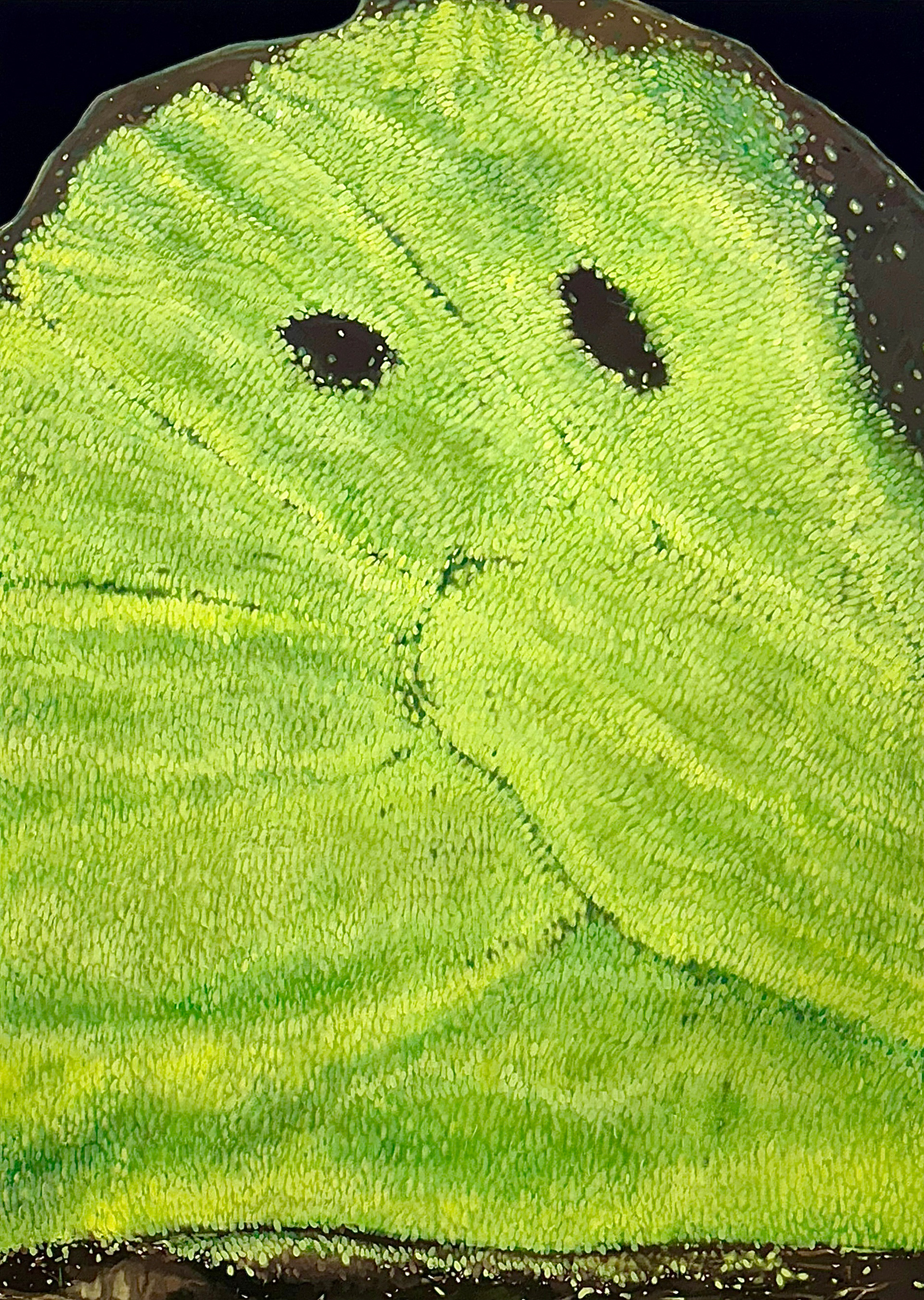 Ma 16-V-25 Oil and water-based pigment on linen 178 × 127 cm (70 × 50 in.), 2025.