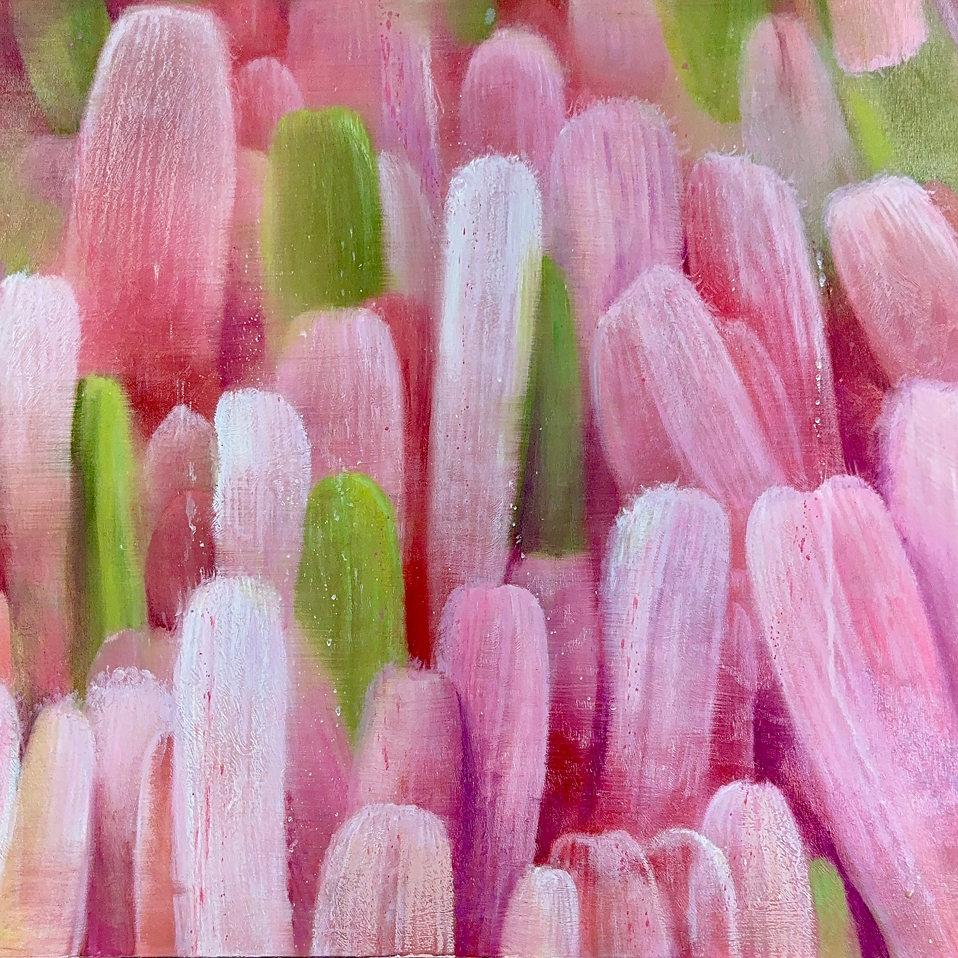 Ma 28-VII-25 Oil on linen, 50 × 50 cm (19.7 × 19.7 in.), 2025