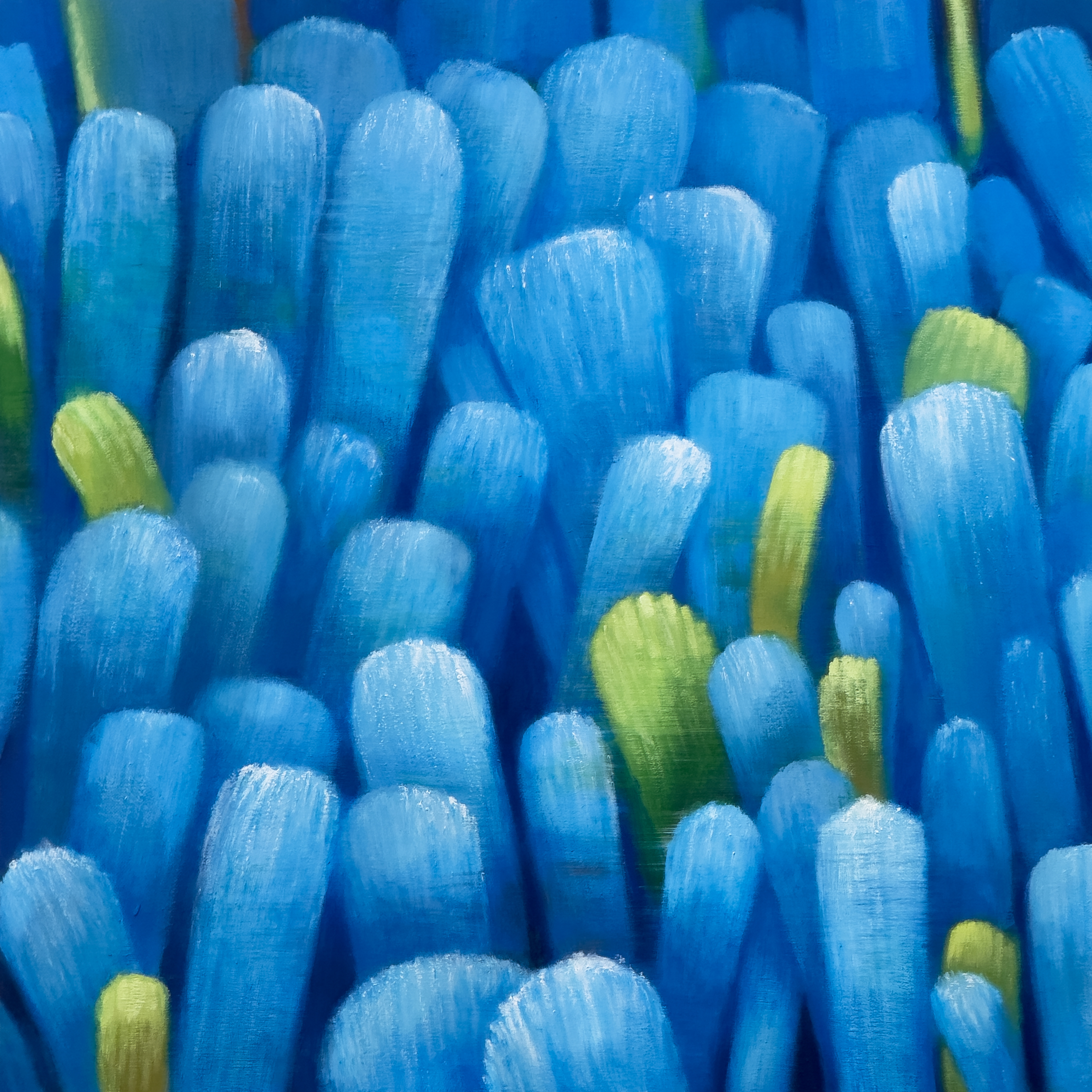 Ma 23-Ⅸ-25 oil on linen, 50 × 50 cm (19.7 × 19.7 in.), 2025