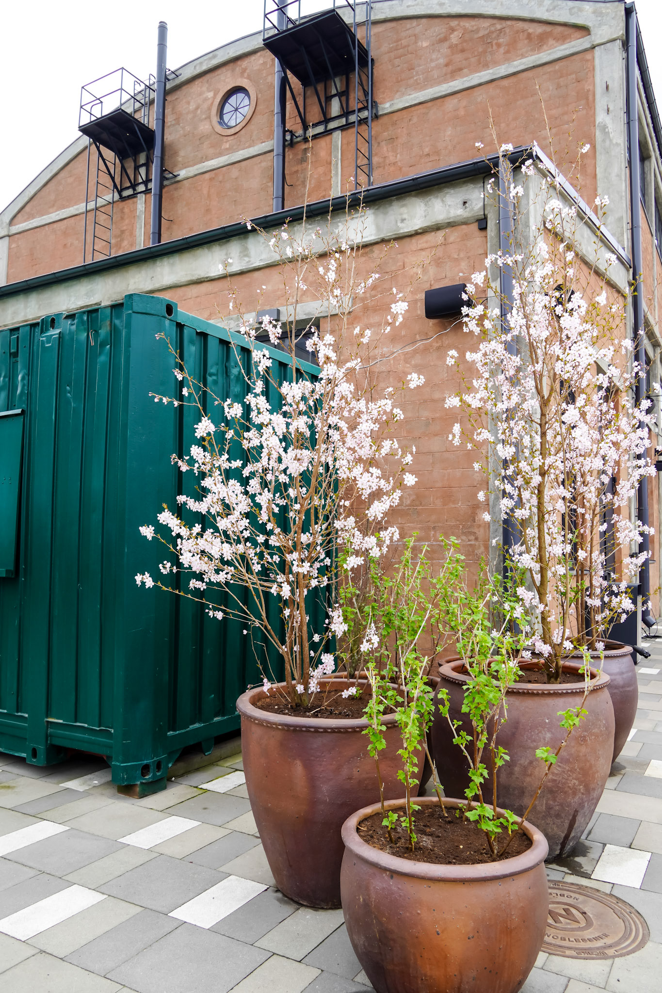 Noblessner, Tallinn, April 2025