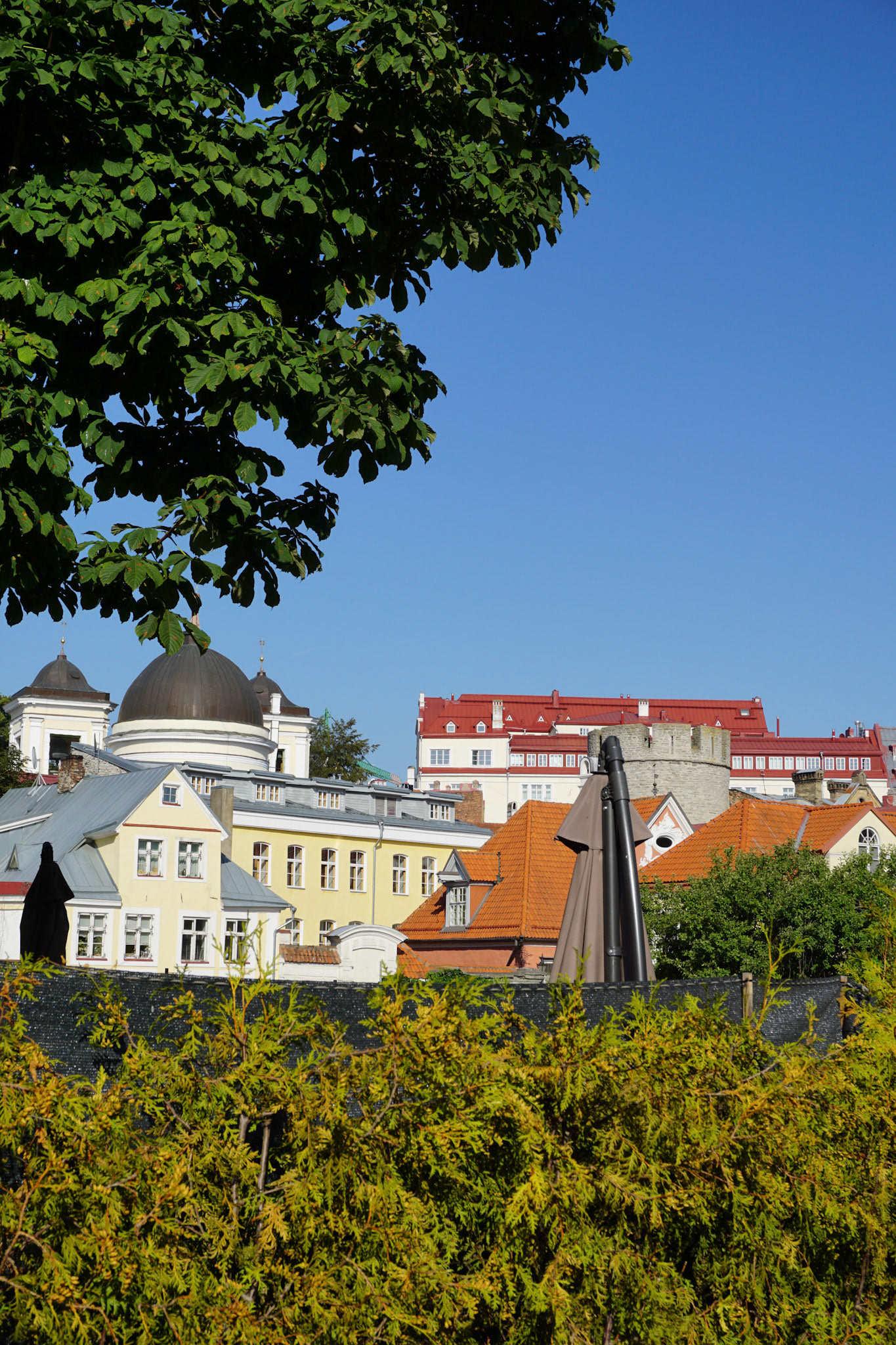 Tallinn city, August 2022