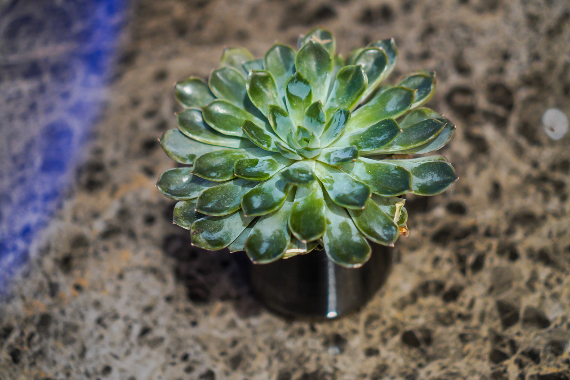 Radisson indoors, Tallinn, January 2025