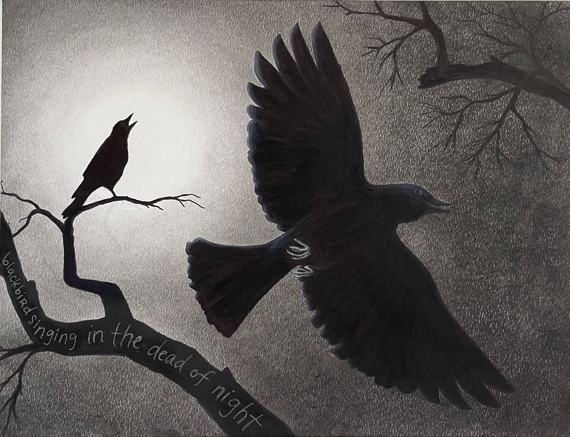 blackbird - charcoal