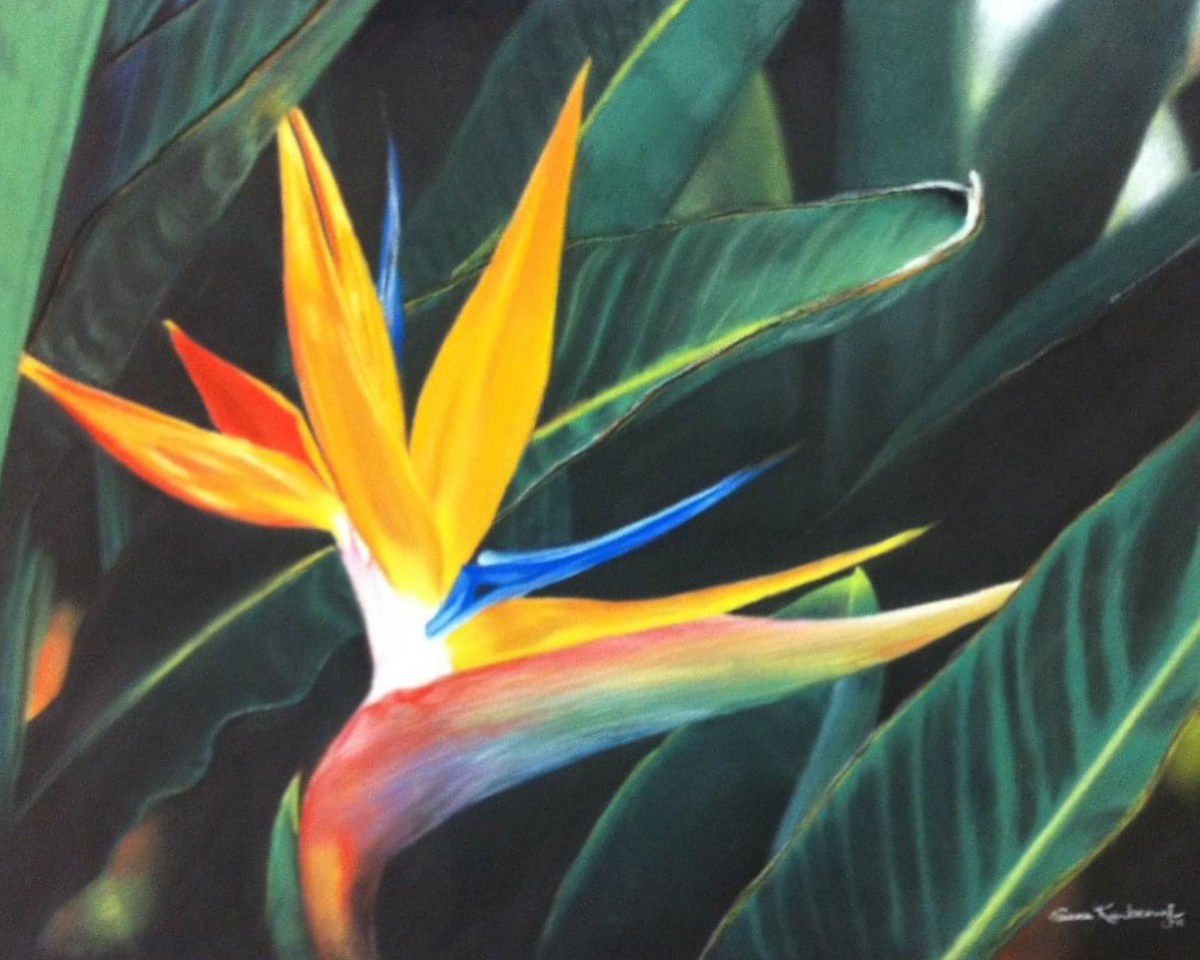 bird of paradise - pastel