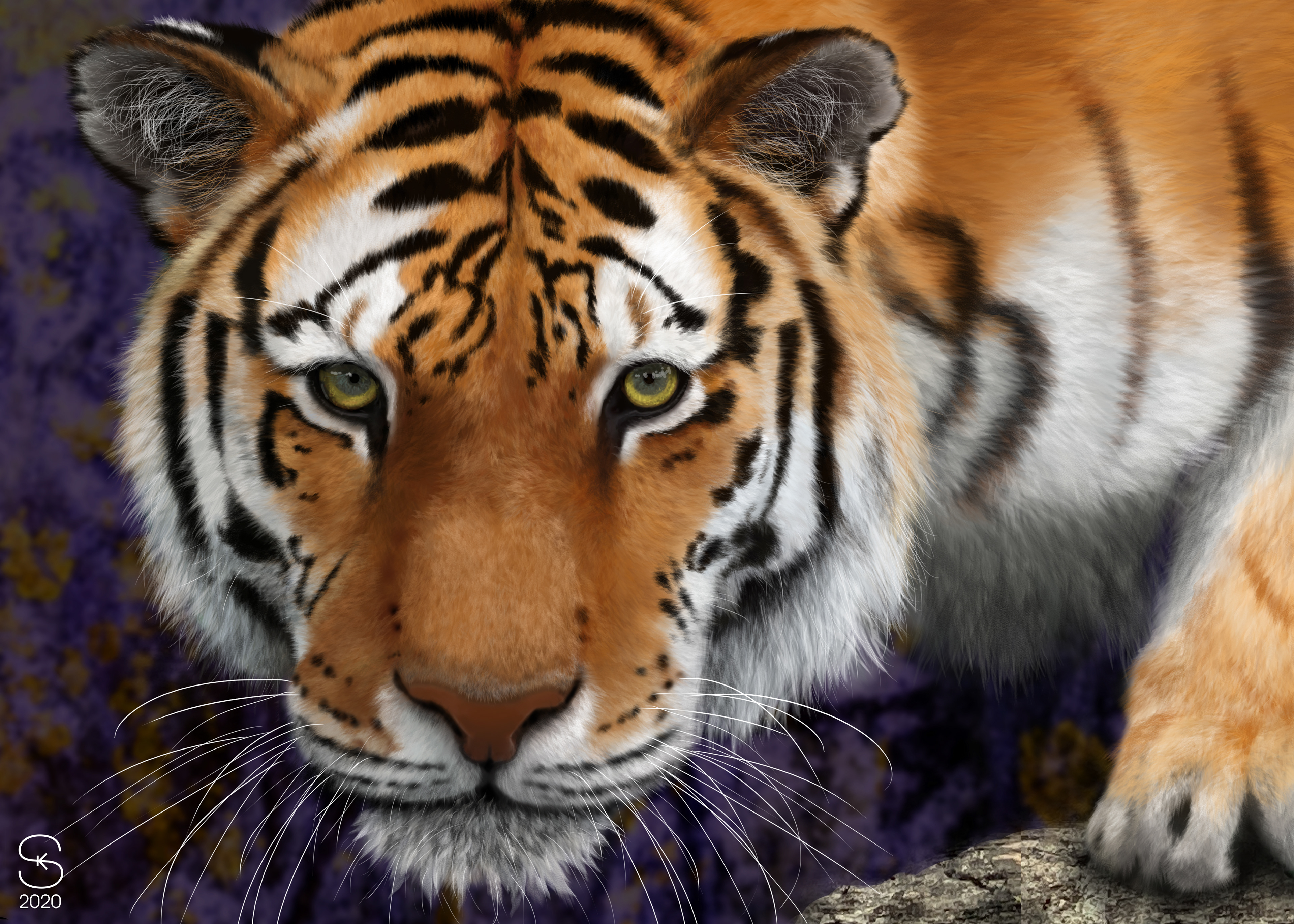 eye contact - digital painting