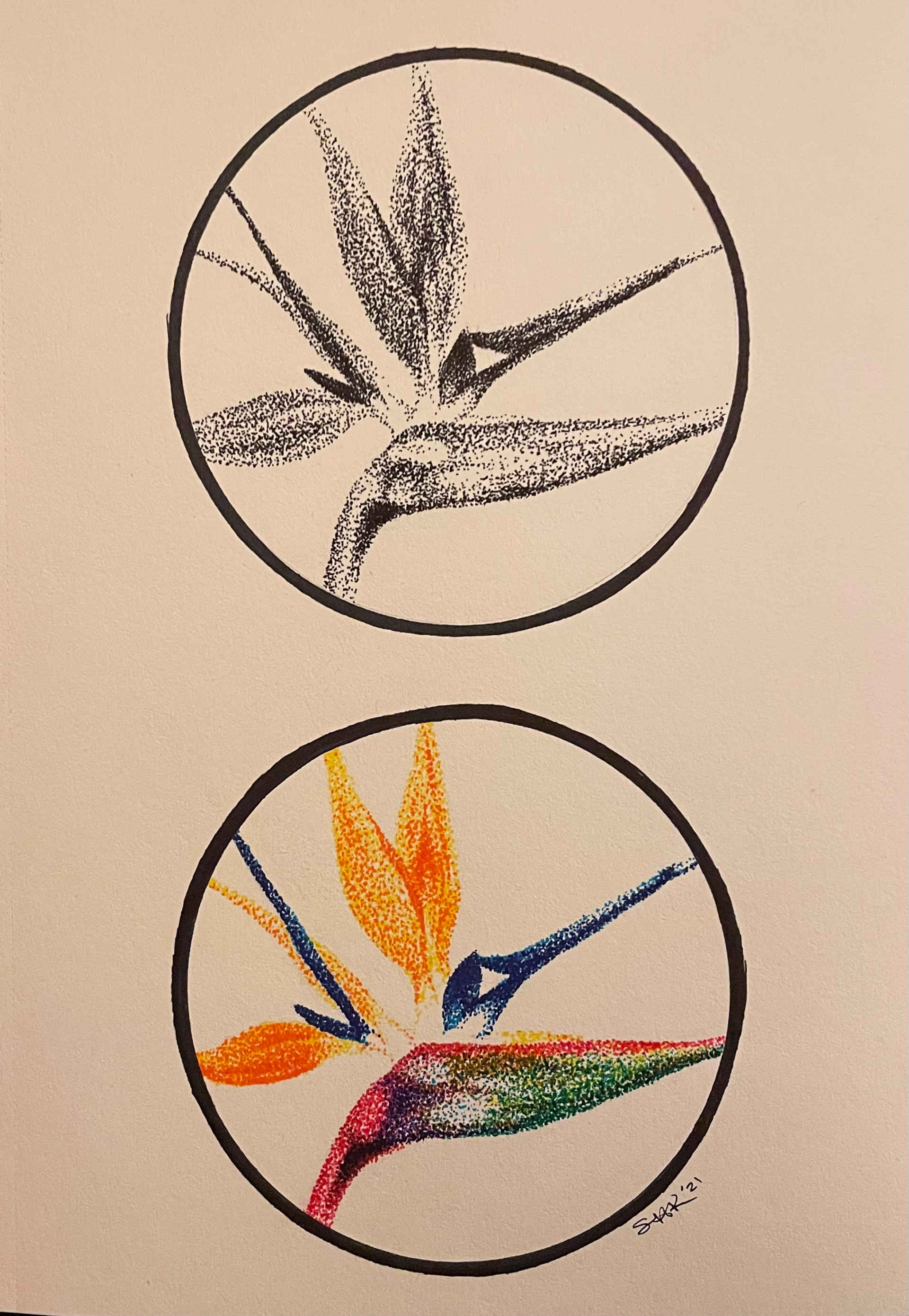 stippling exercise - pen