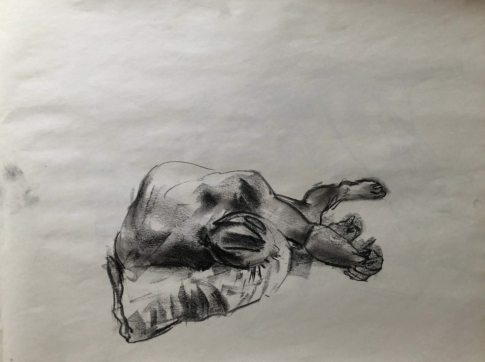Asal Andarzipour, "Untitled", pastel charcoal on paper, 17x24 inches, 2021