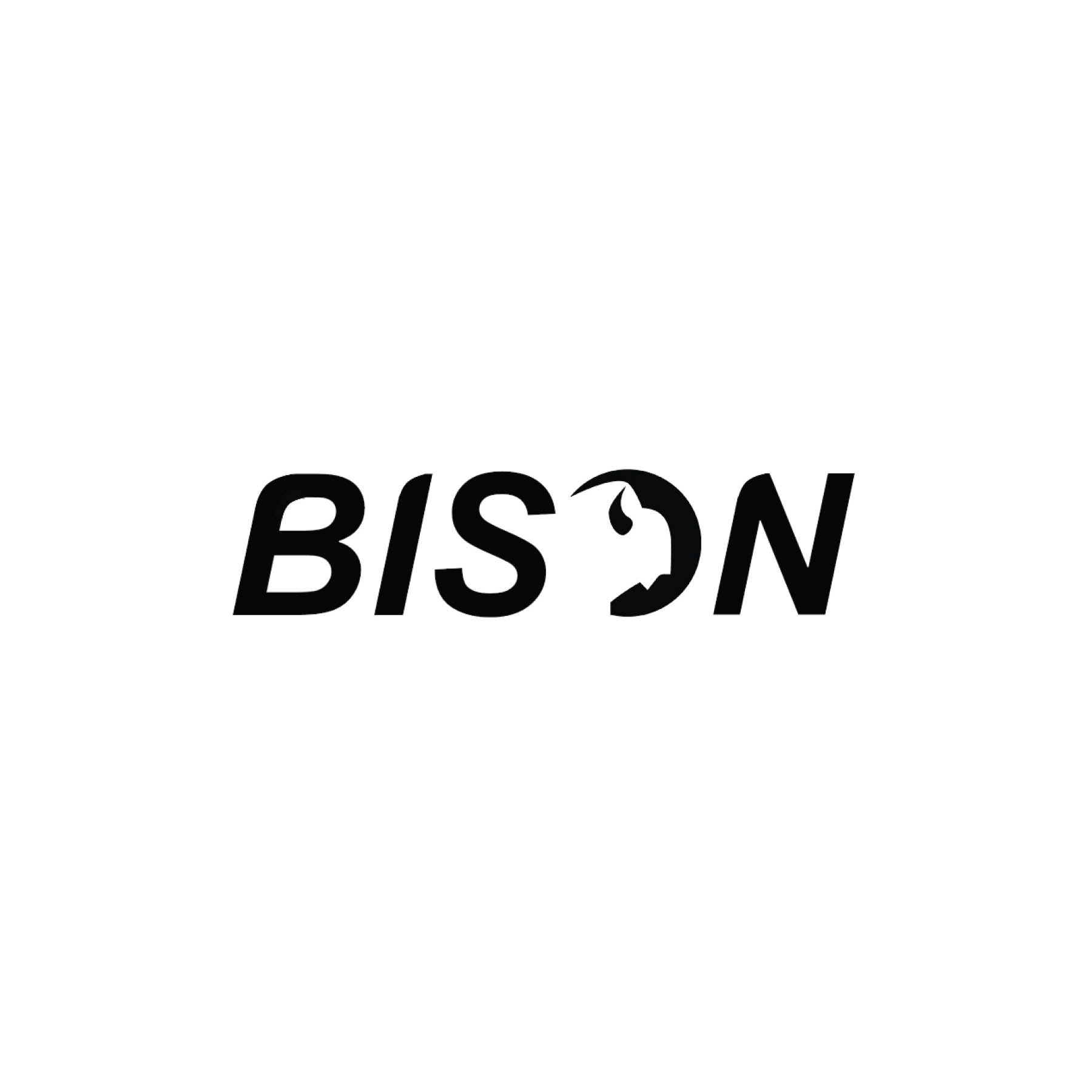 Logo for Hybrid Bicycle "Bison", 2014