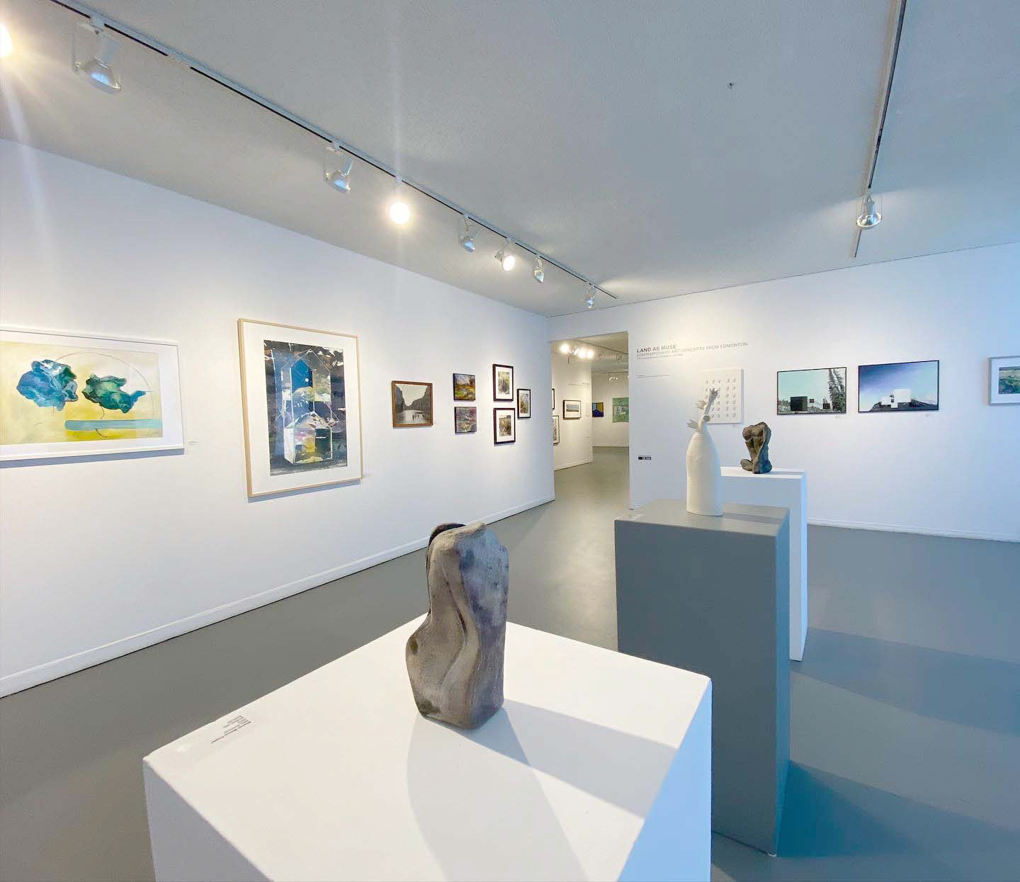 Installation fragment of Land as Muse: Contemporary Art Concepts from Edmonton/34th Annual Members’ Show | Co-curation | 2022 | Harcourt House Artist Run Centre | Edmonton, AB