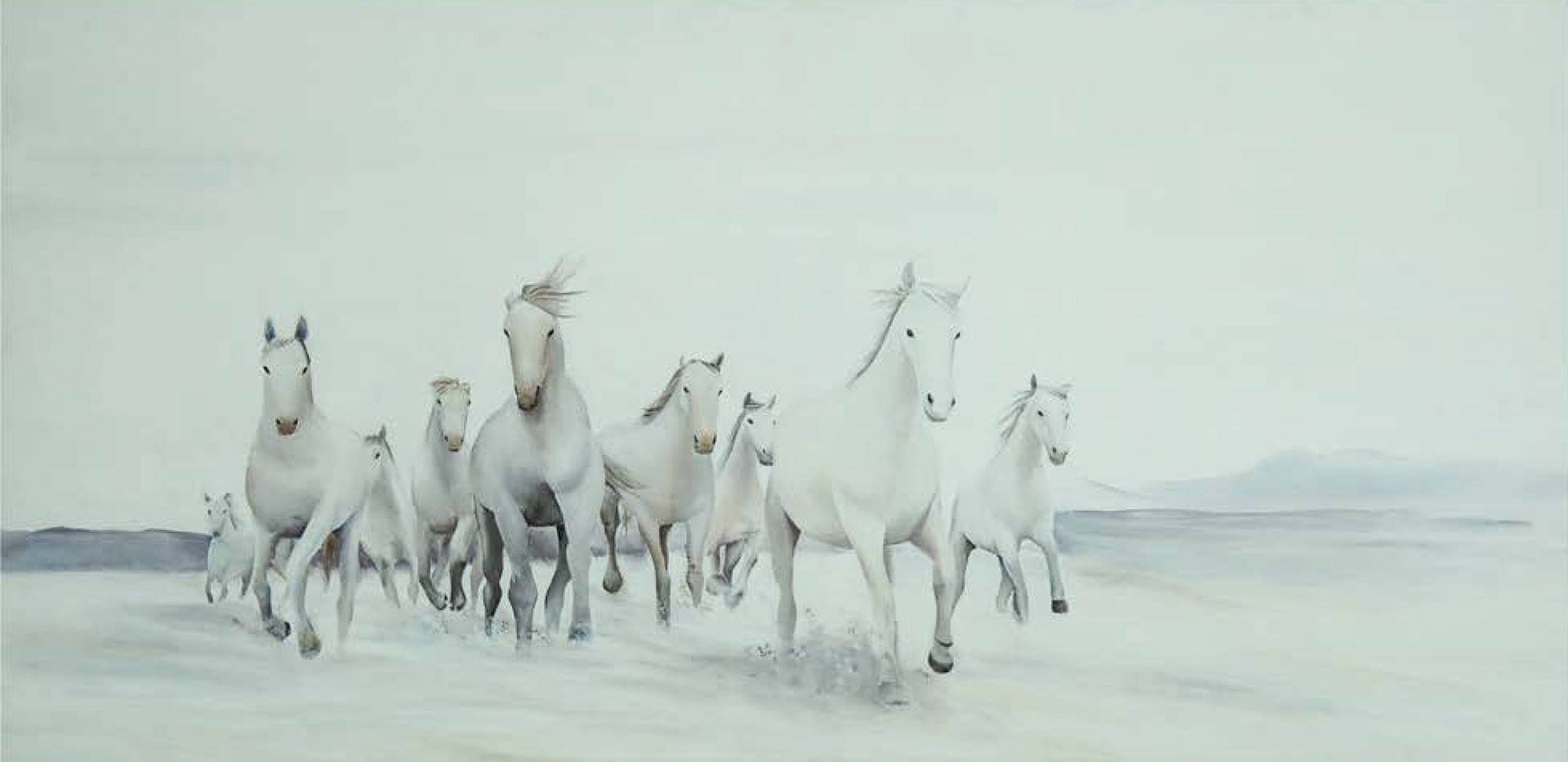 Asal Andarzipour, acrylic on canvas, 2013