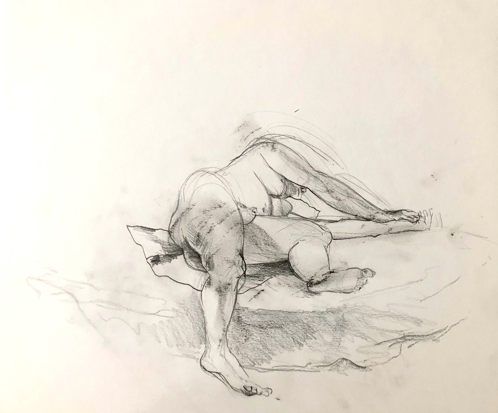 Asal Andarzipour, "Untitled", pencil on paper, 14x17 inches, 2021