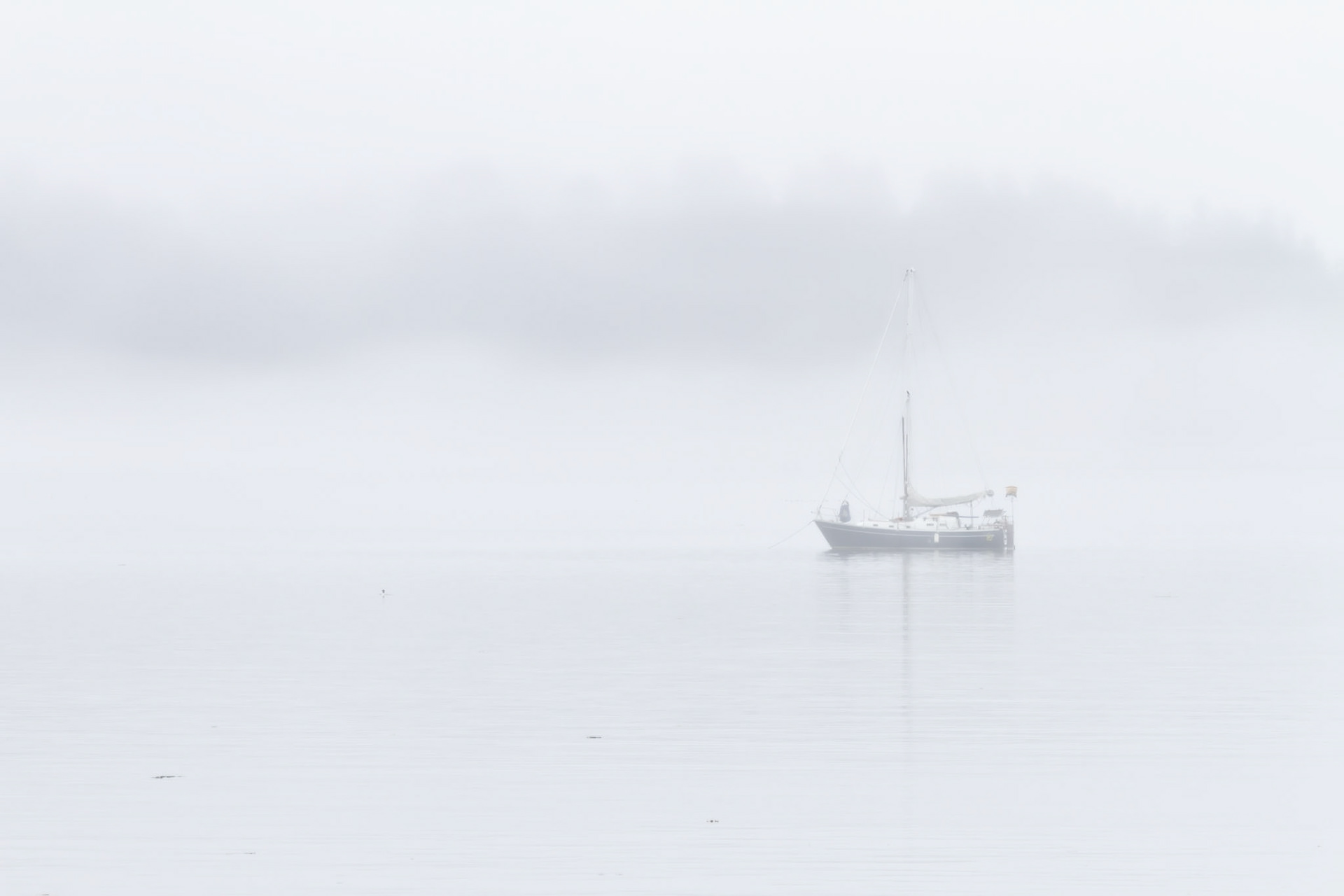 Sailboat in Fog, Olympic Peninsula