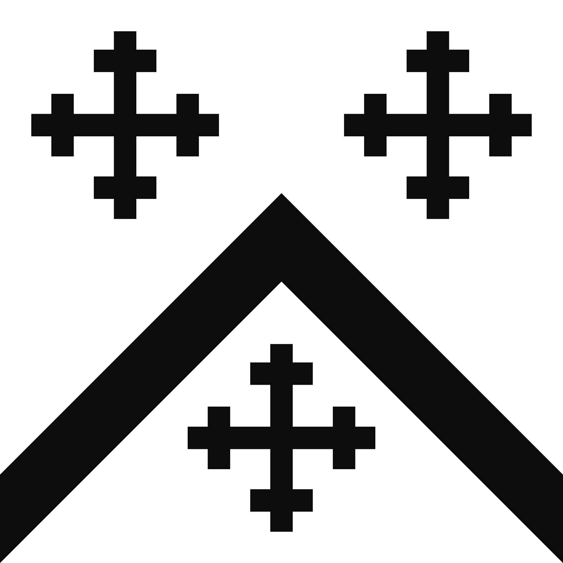 The flag of the Anderson family