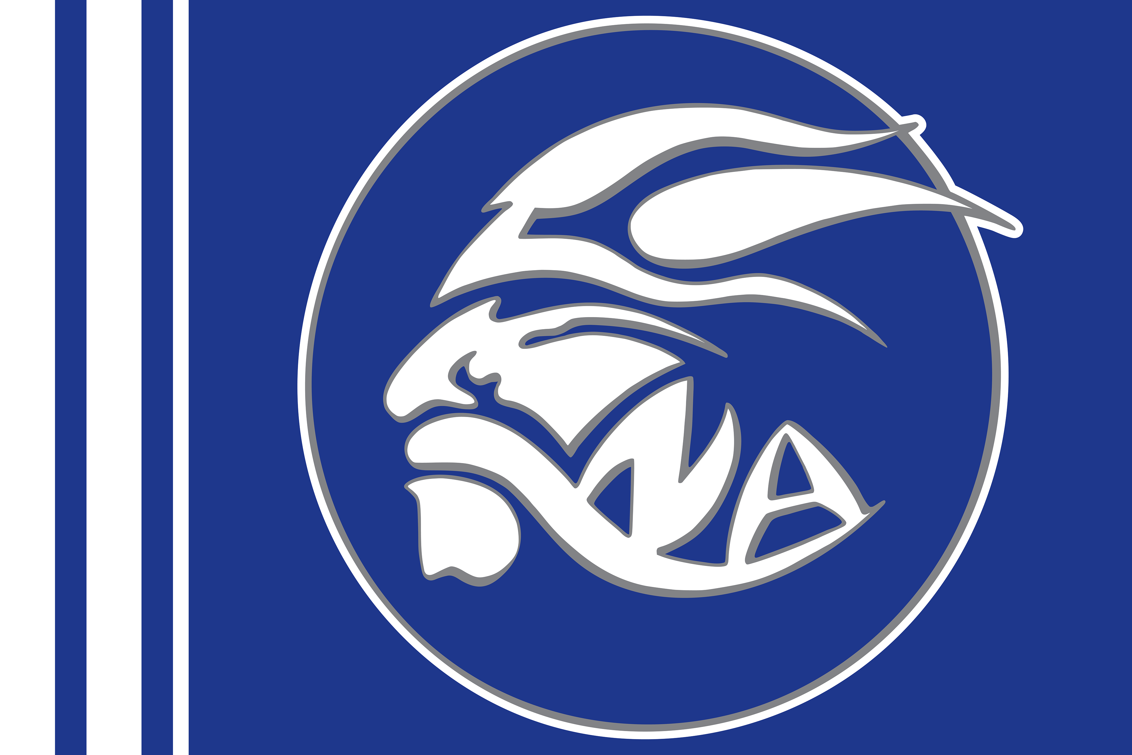 Created for the North Arlington Vikings