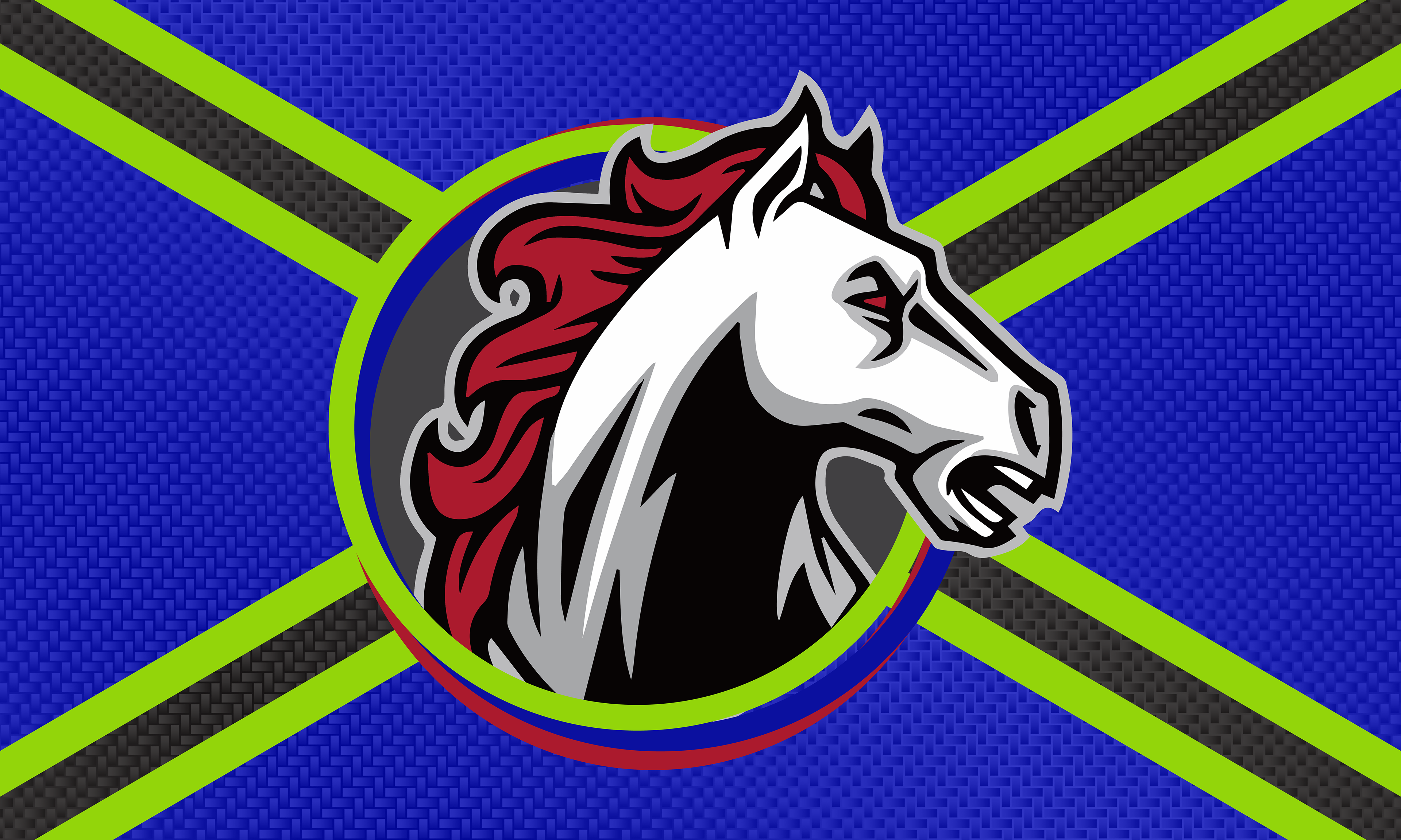 For a horse jockey team based out of Paris, KY