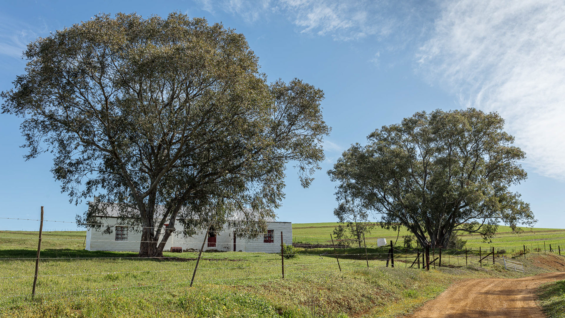 Farmyard off the Riebeek's River Road