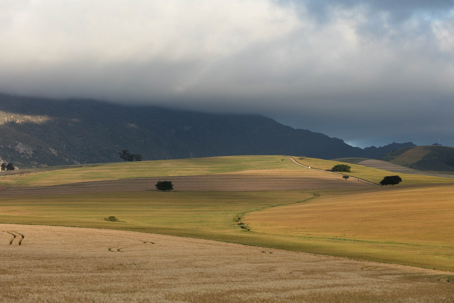 "Towards Riebeeck's River"