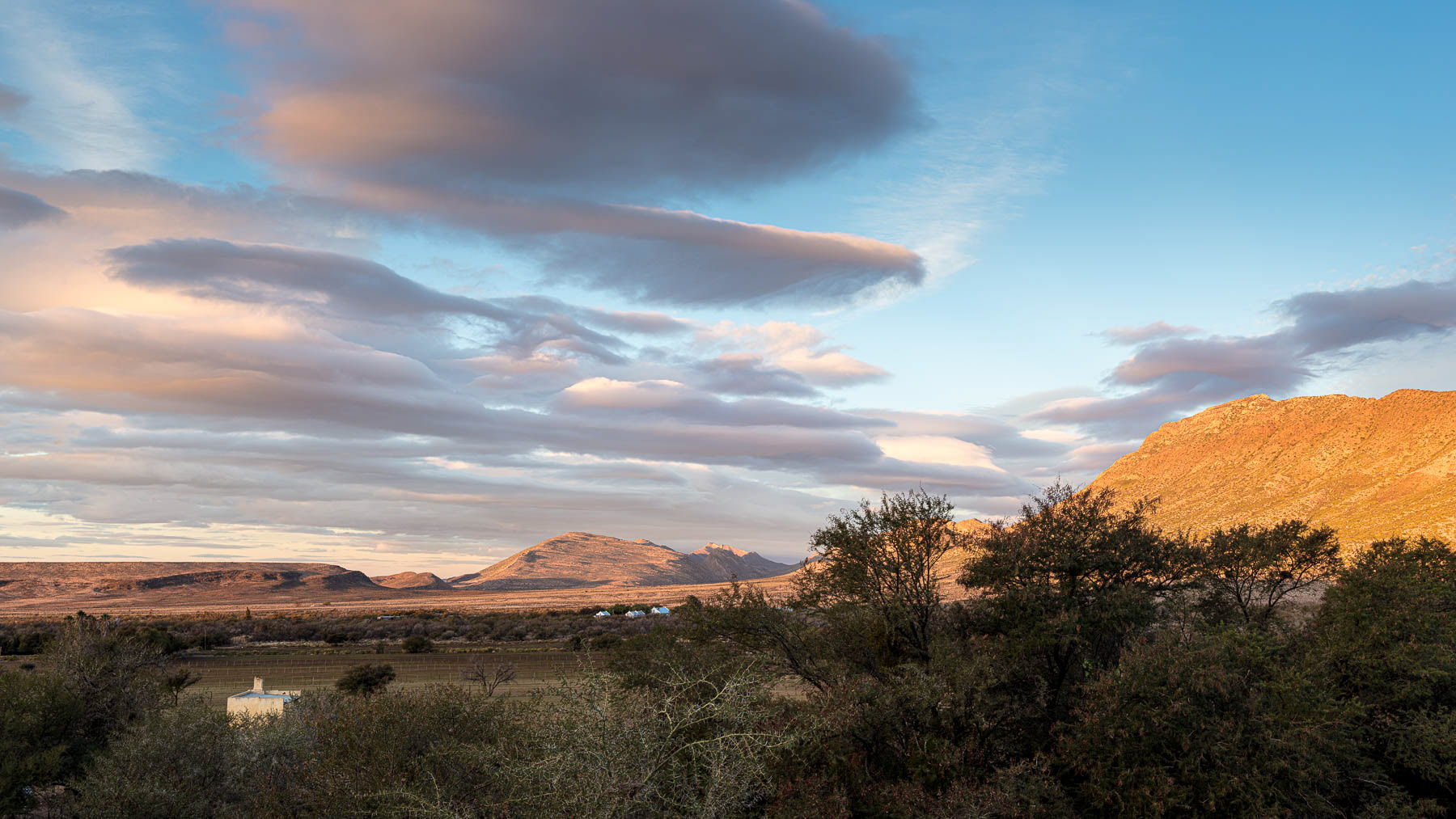 Looking North from Prince Albert.