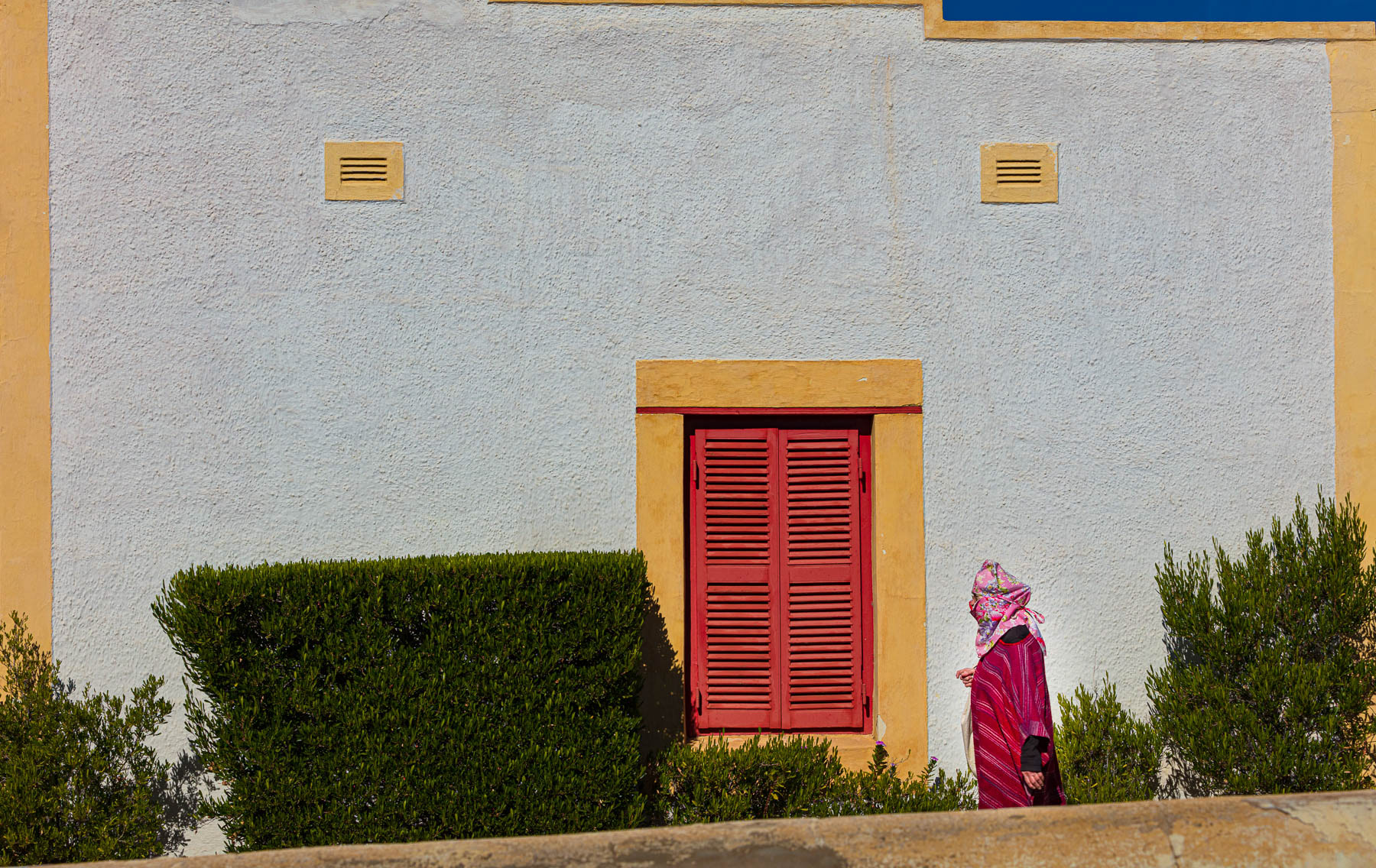 Interesting person in Prince Albert.