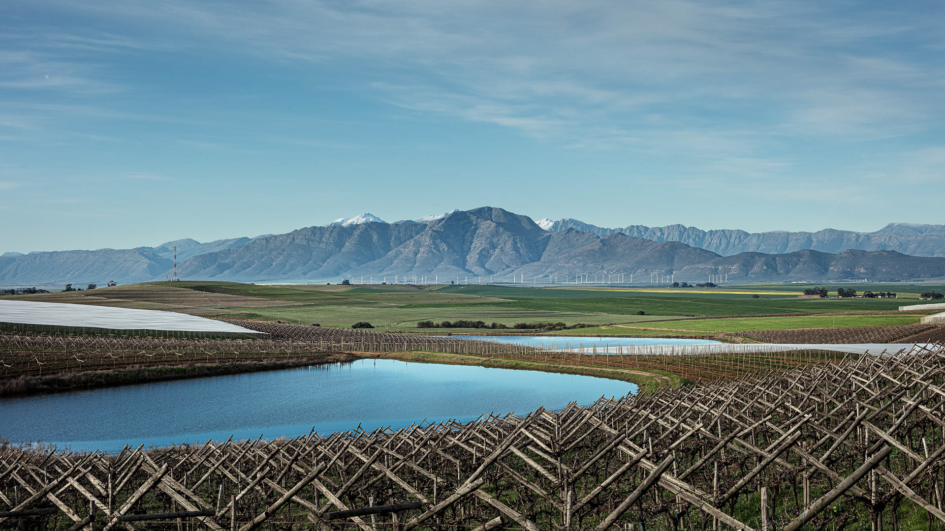 "Snow On the Saronsberg"