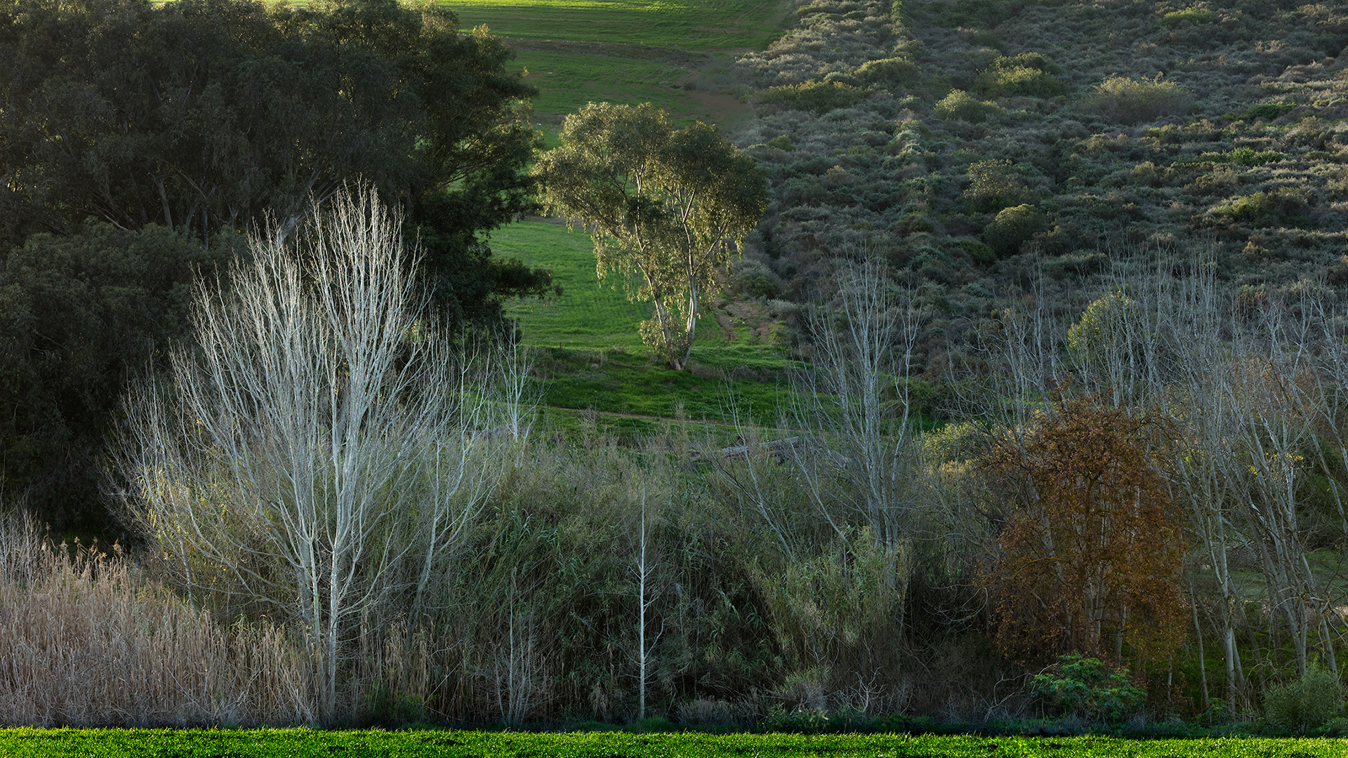 "Catching The Light"