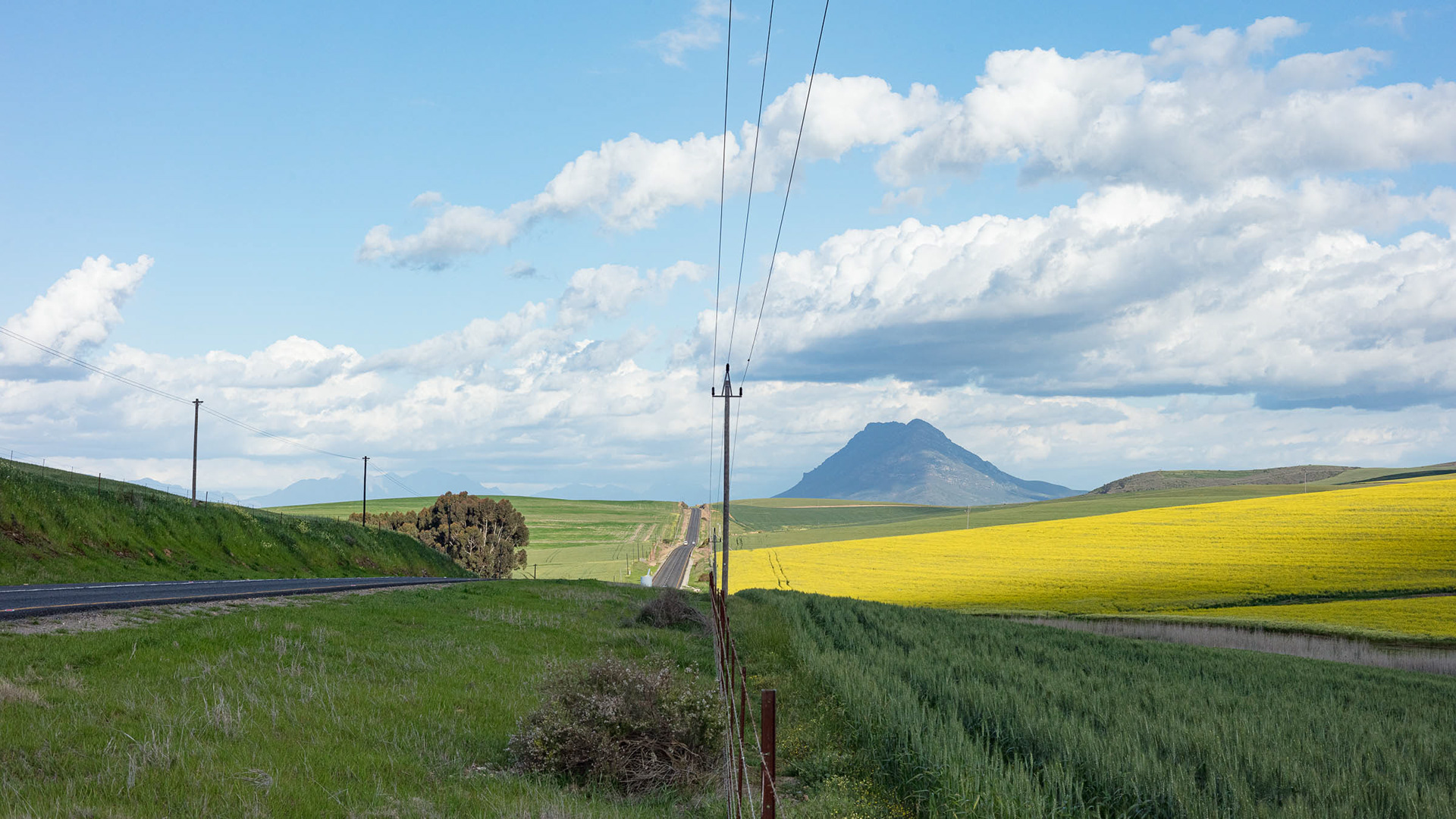 "The Road to Riebeek Kasteel"
