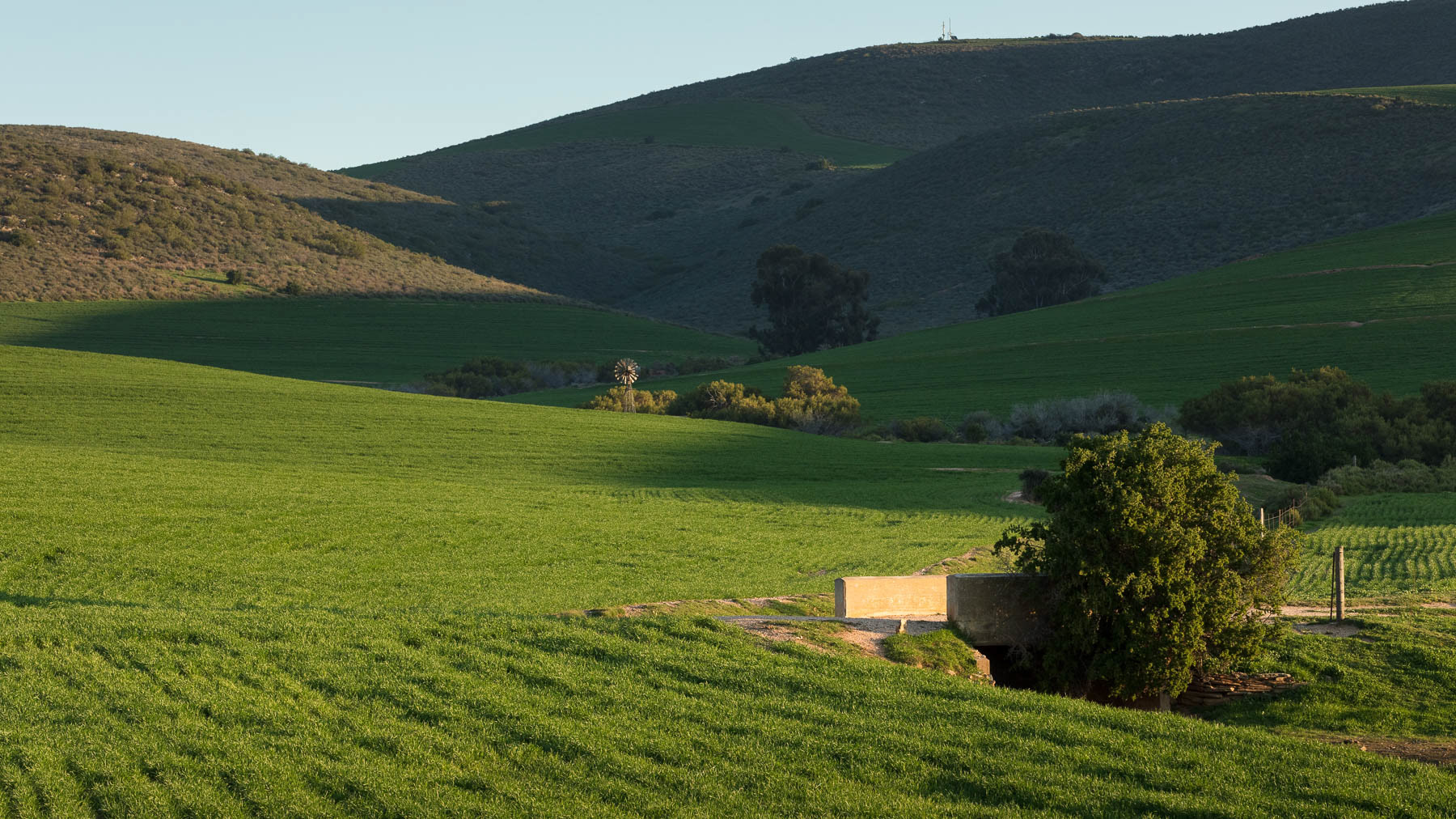 "Old Bridge In The Light"