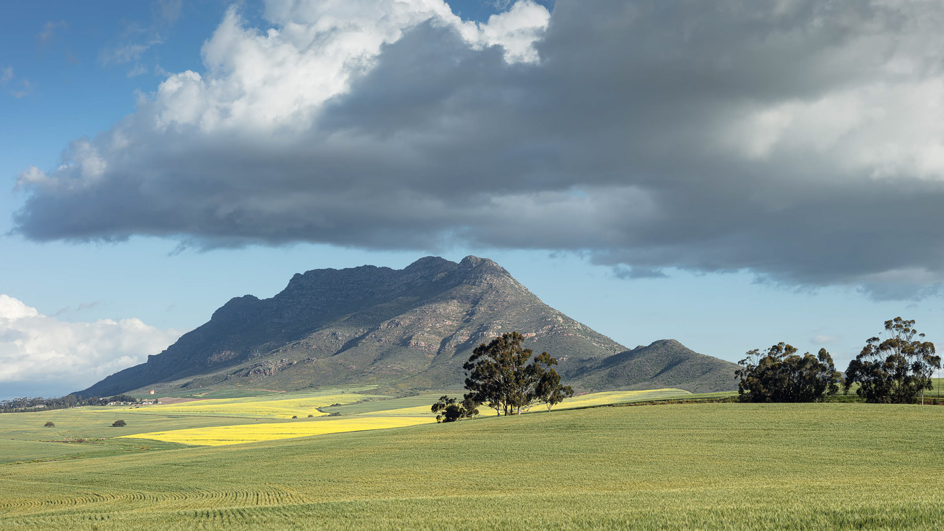 My Favourite View of The Kasteelberg.