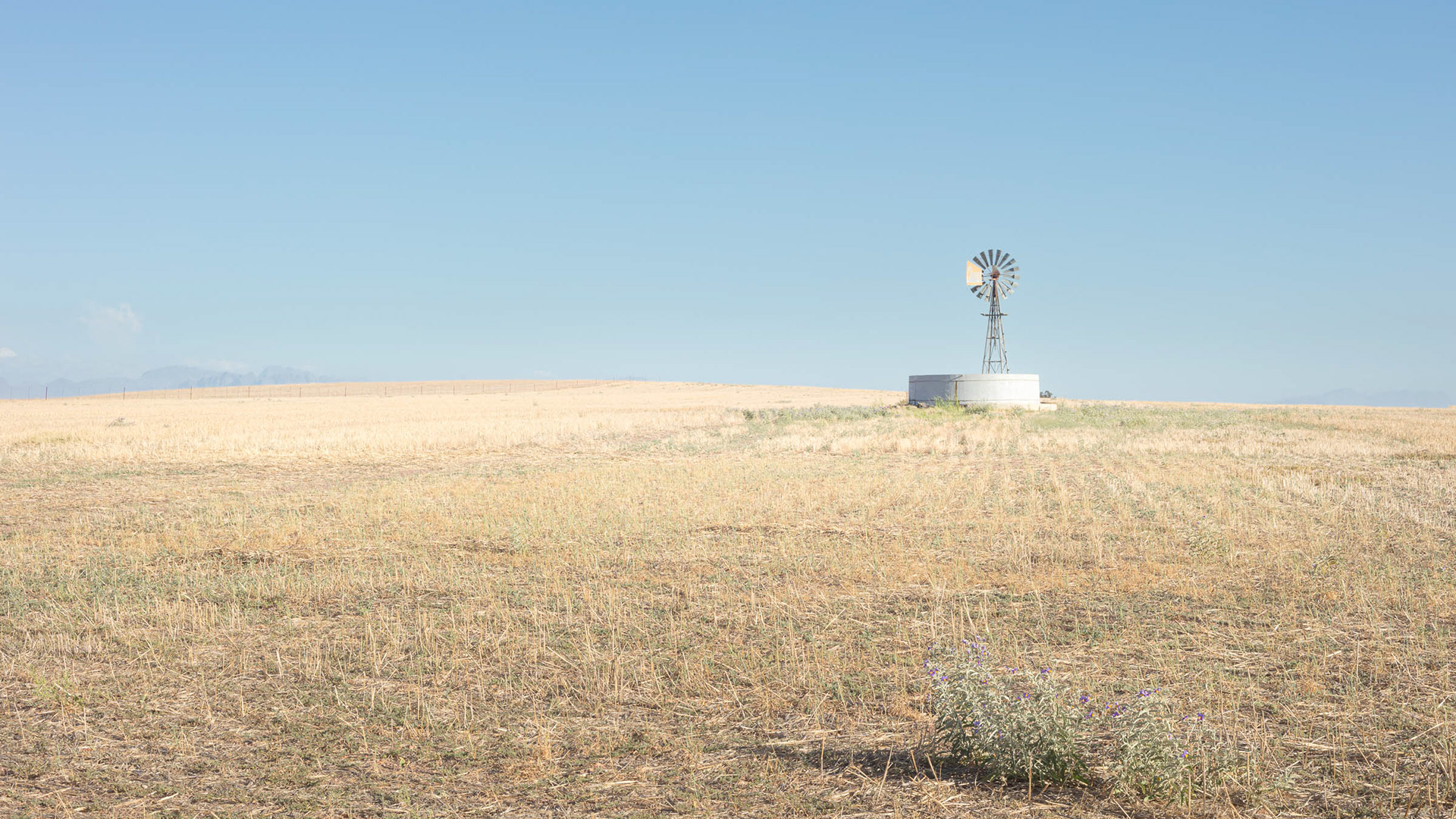 Windmill and reservoir  on the "Bloemfontein" road off the Malmesbury - Paarl road.