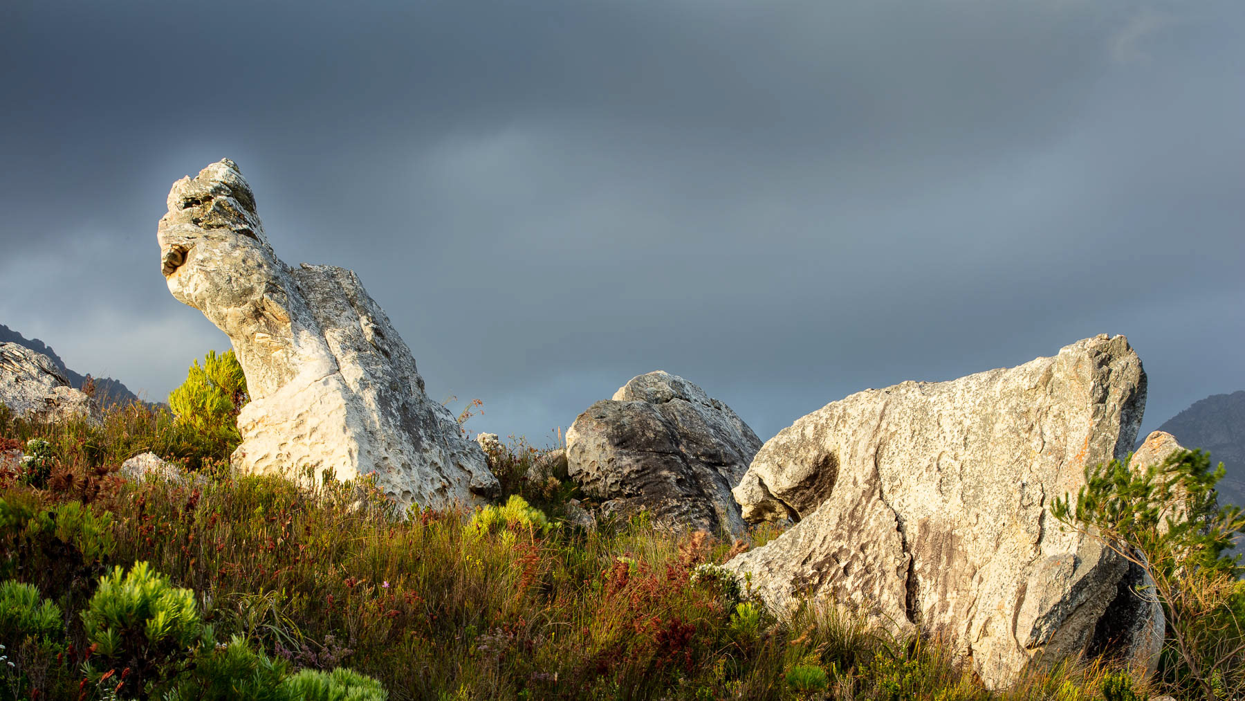 "Pringle Bay Rockery"