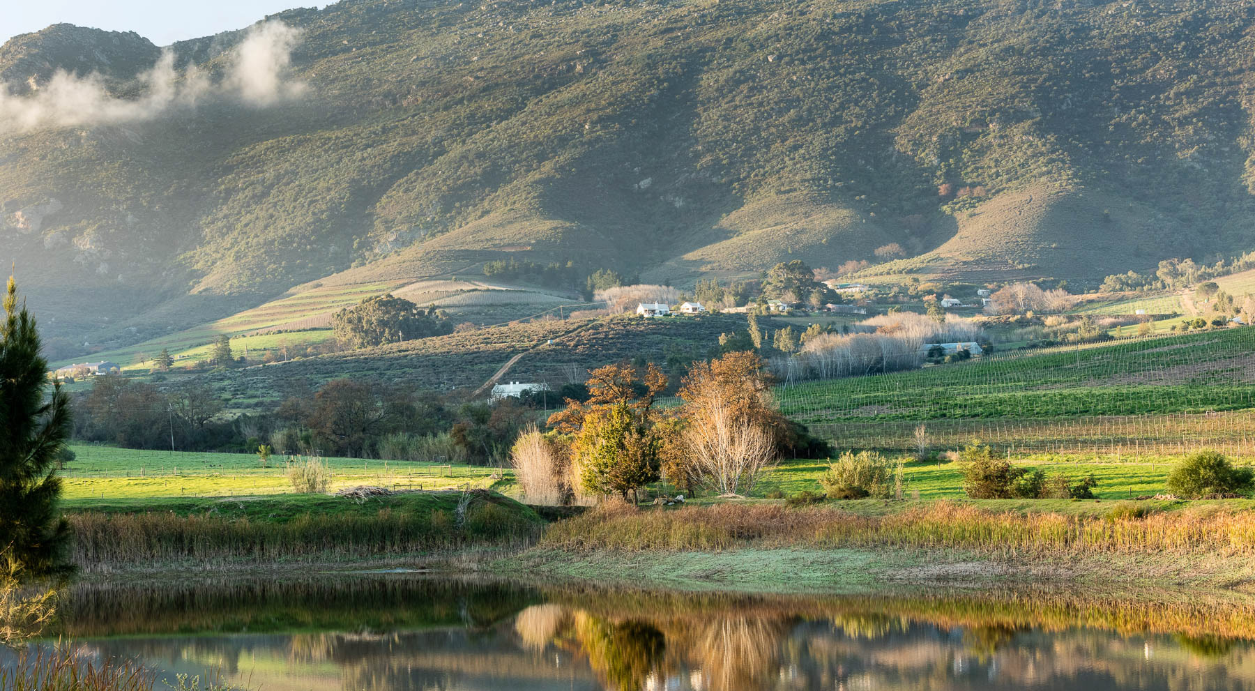 "Riebeek's Road Reflections"