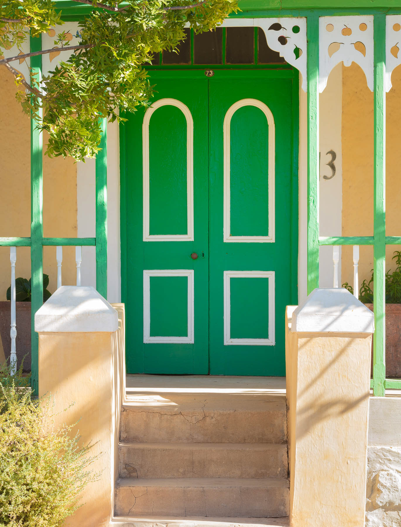 Colour in Prince Albert.