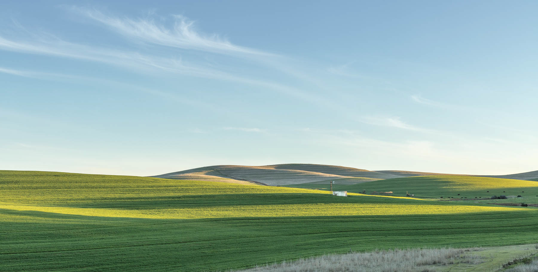 "On The Moorreesberg Road"