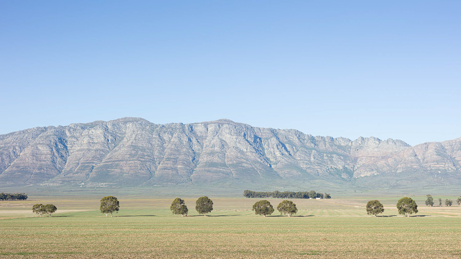 Ten Trees and the Elandskloof Mountains from the Bo-Hermon Road.