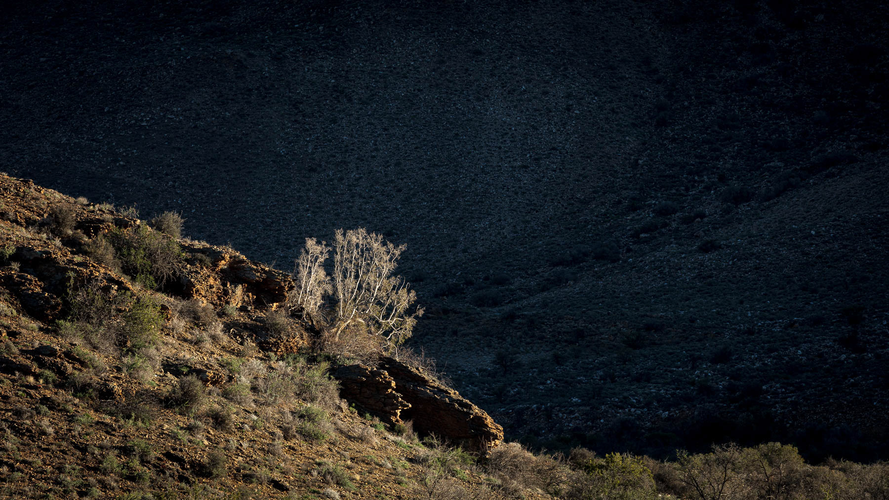 Outside Prince Albert.