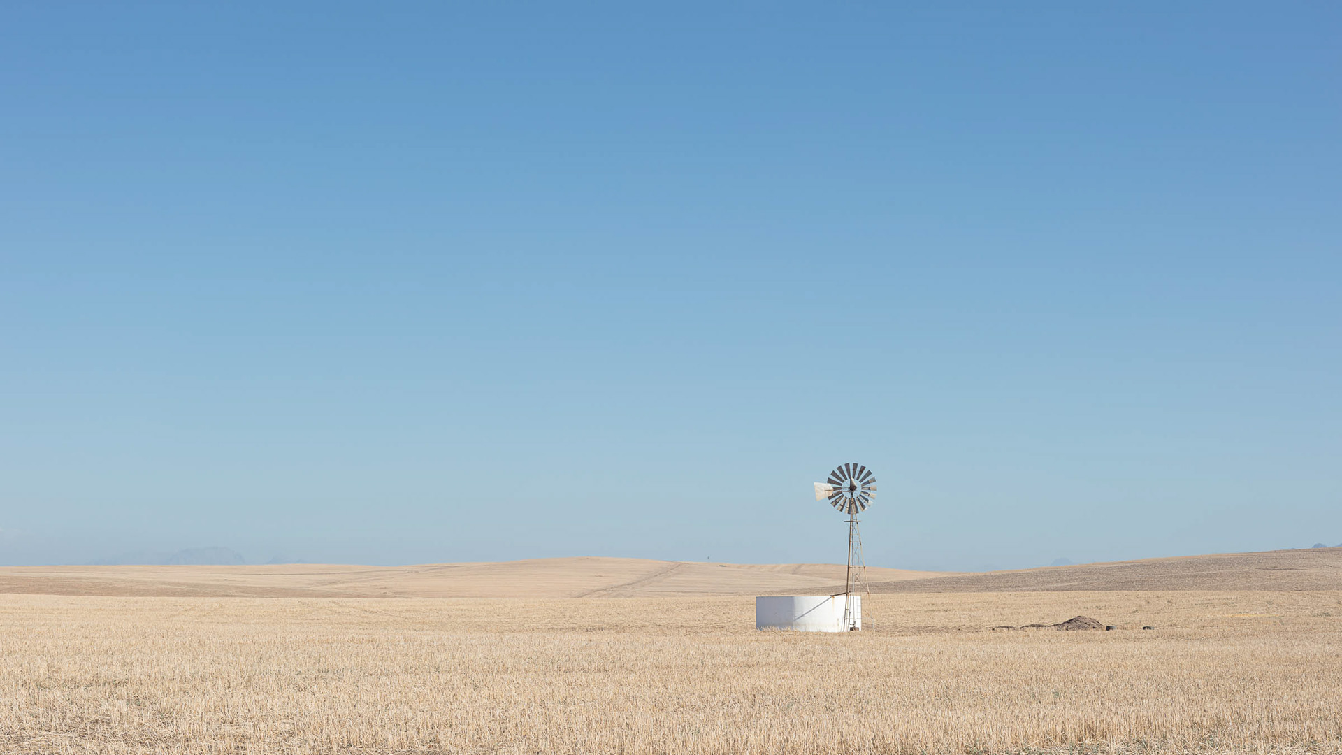 Windmill on the road from Riebeek Kasteel to Malmesbury.