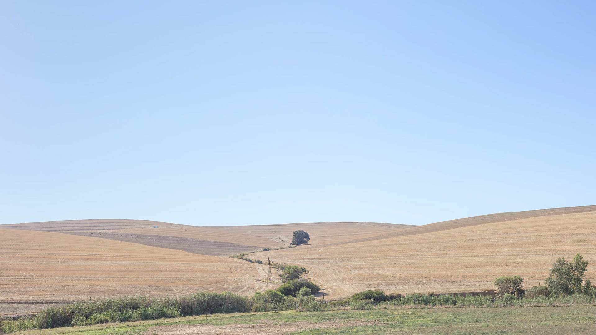 On the road from Riebeek Kasteel to Malmesbury.
