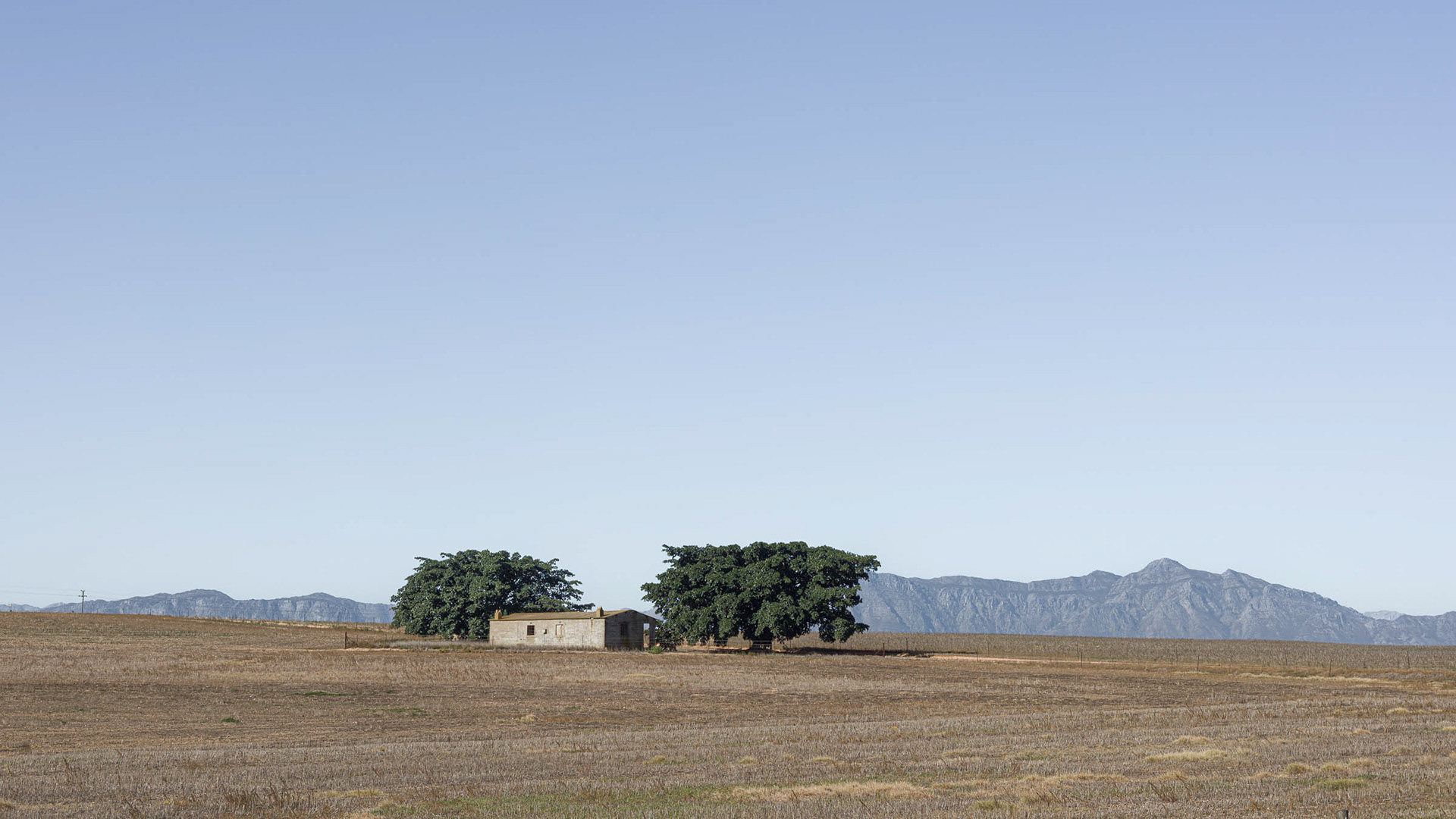 Two Trees and a House - from the Malmesbury - Paarl Road.