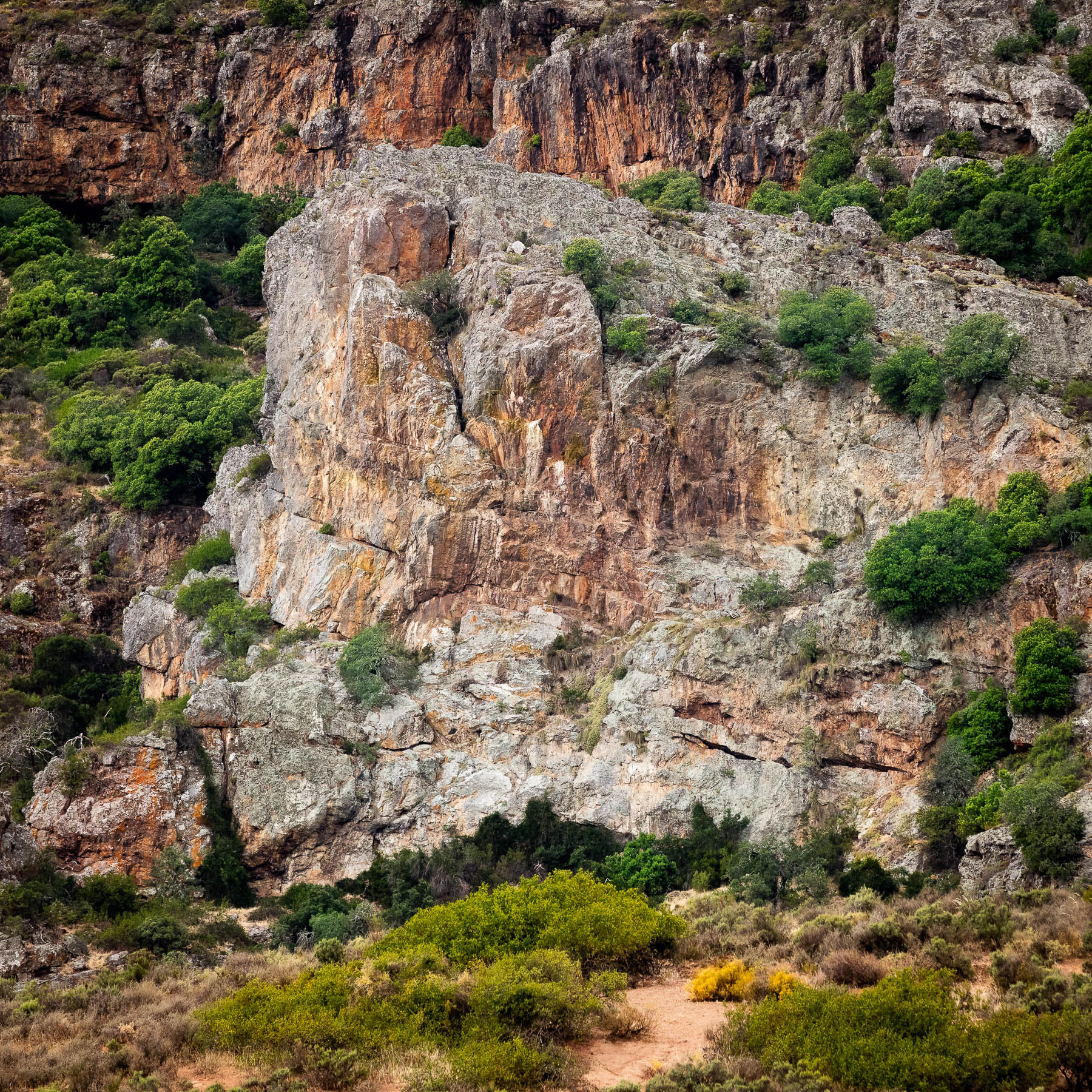 "Kasteelberg Rockface"