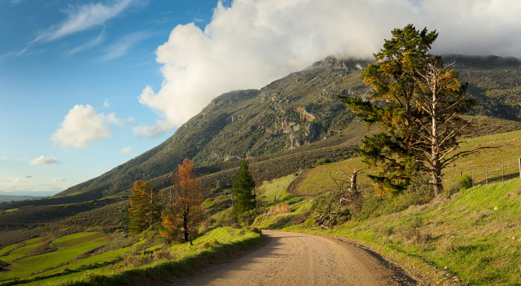 "The Riebeeck's River Road Pass"