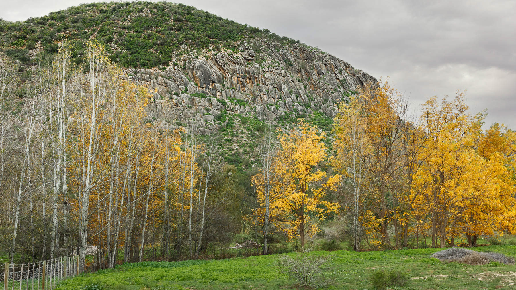 On the Groenfontein Road.
