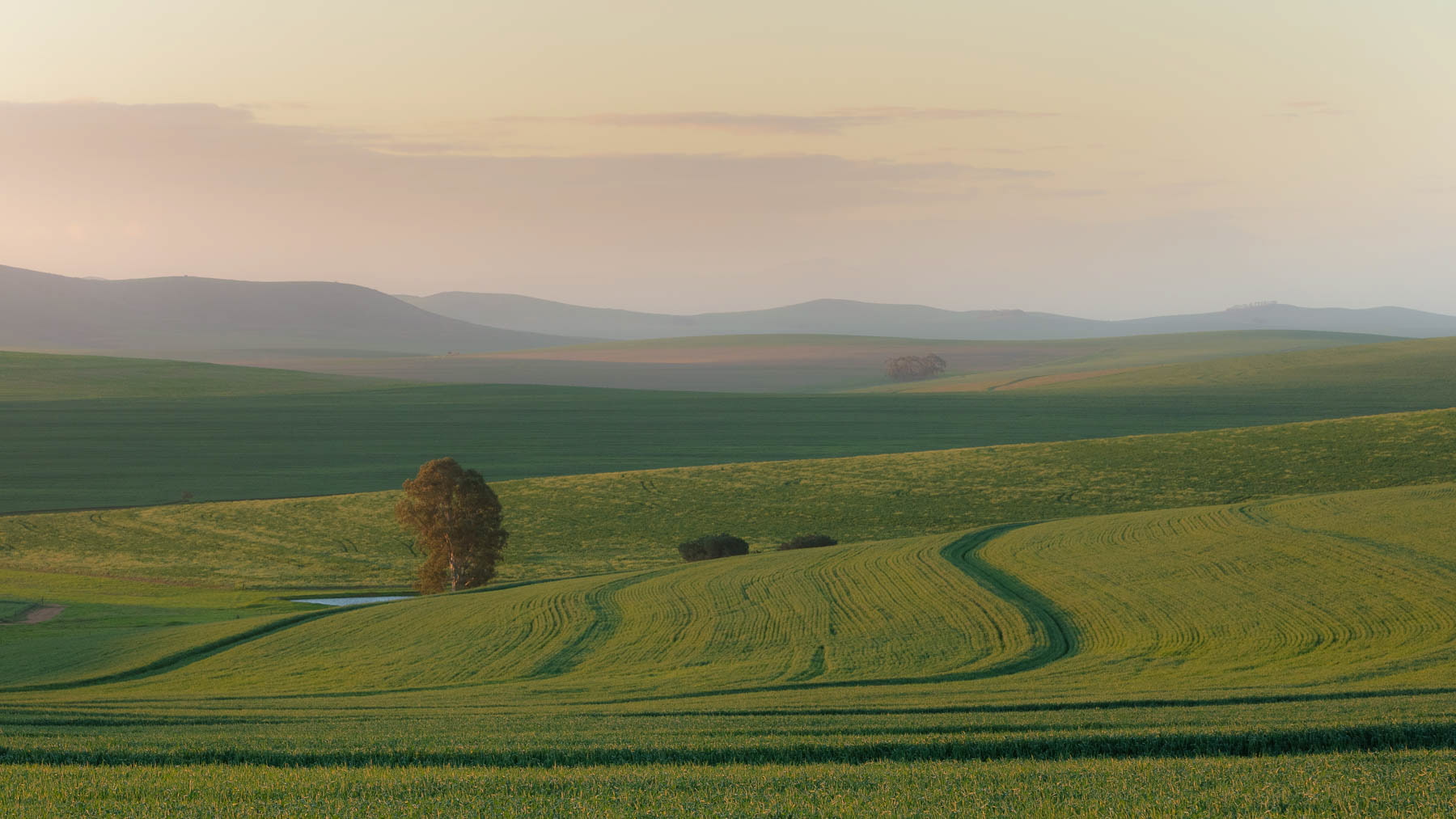 "A Soft, Pastel Evening"