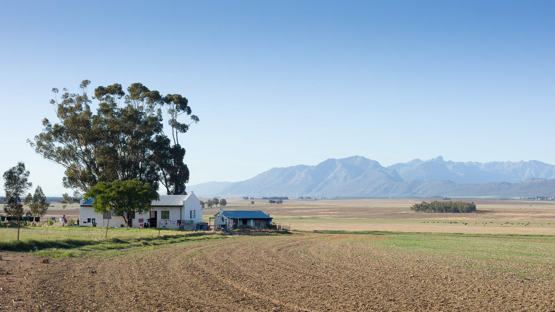 Staff Accommodation and the Saronsberg on the Bo-Hermon Road