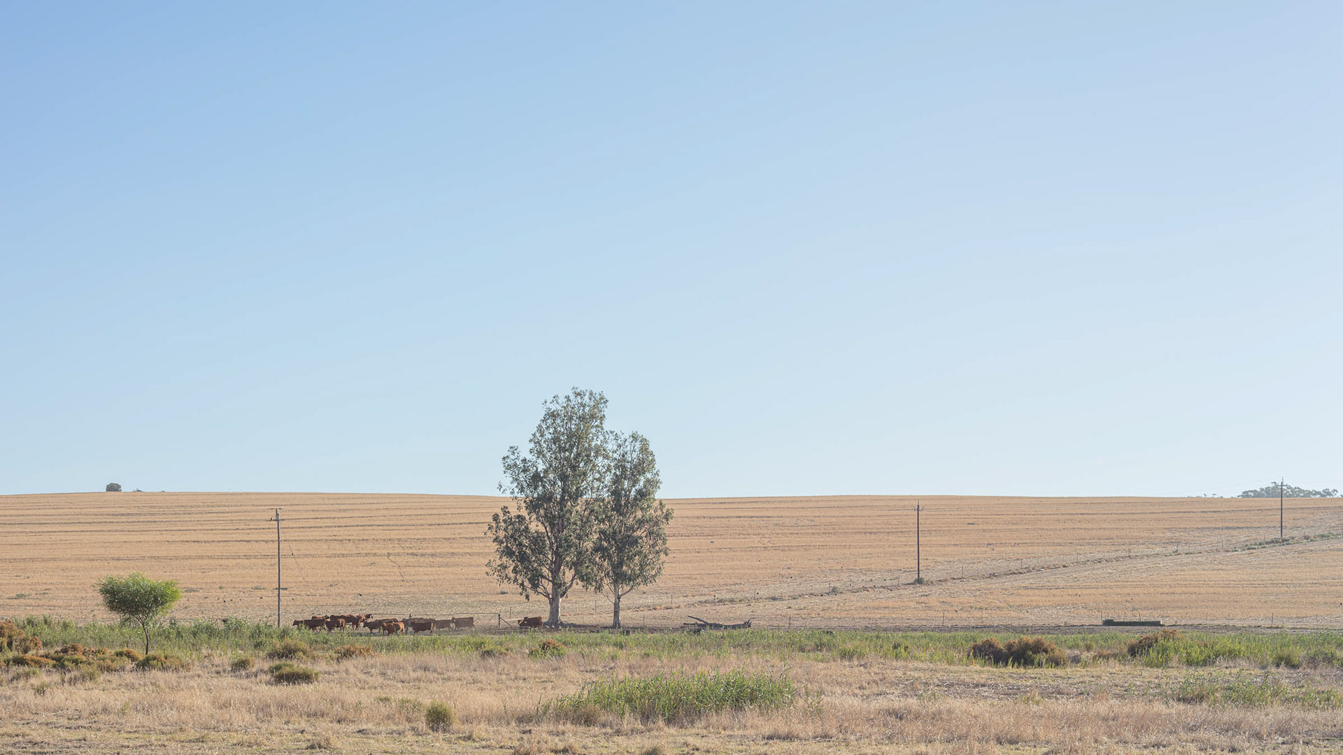 Waiting for the rain off the Malmesbury - Paarl road.